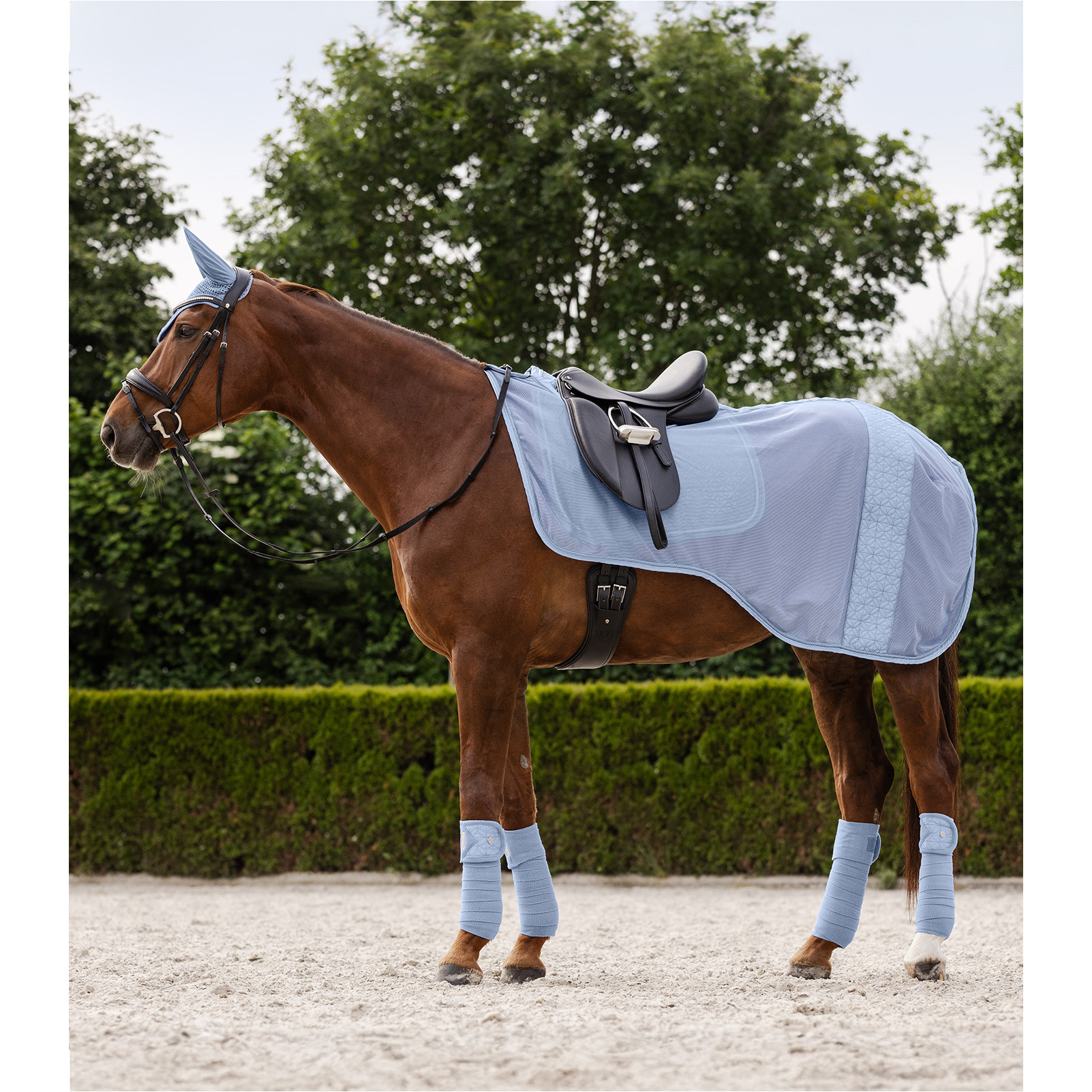 Fliegenausreitdecke ROM pastellblau