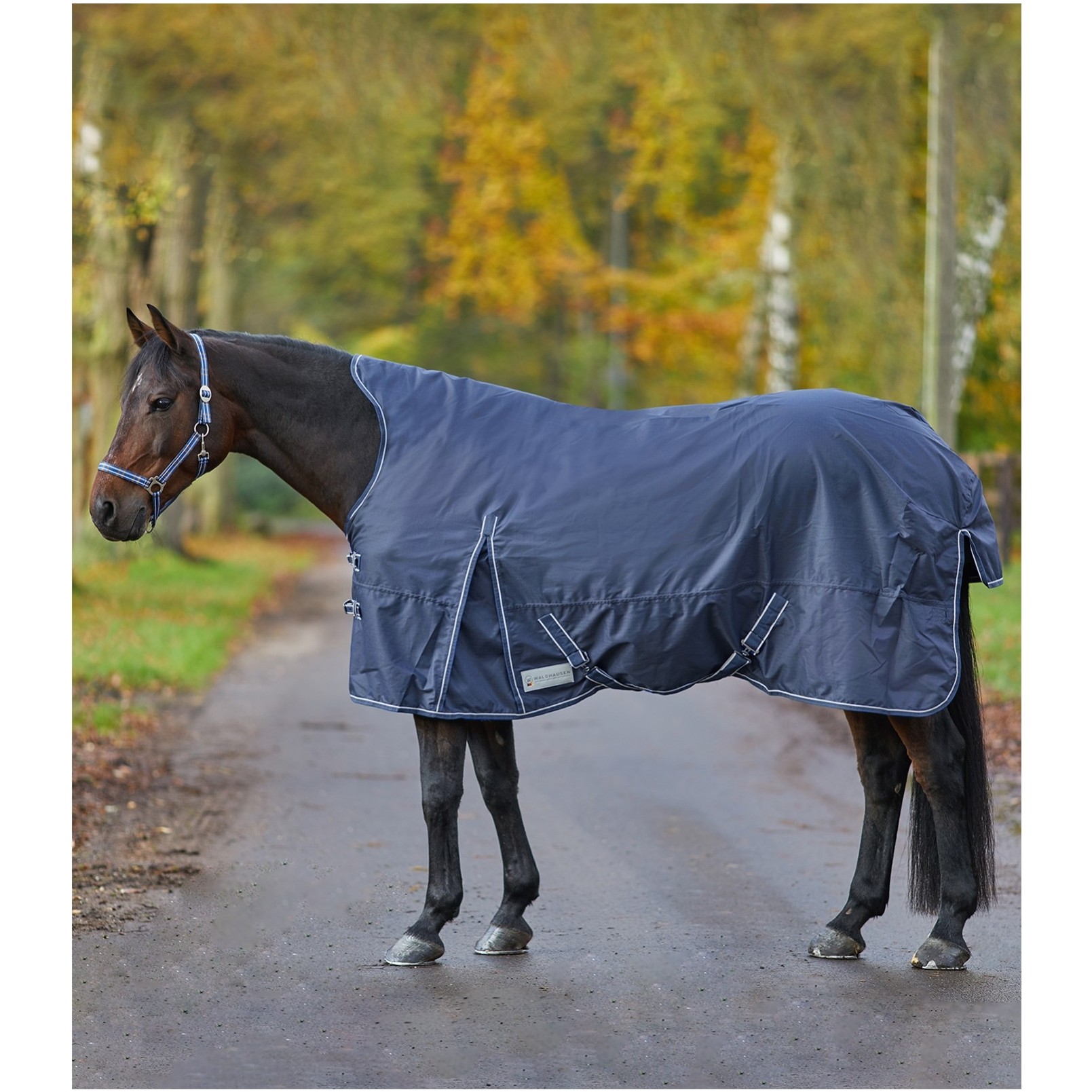 Outdoordecke Light HighNeck ECONOMIC nachtblau