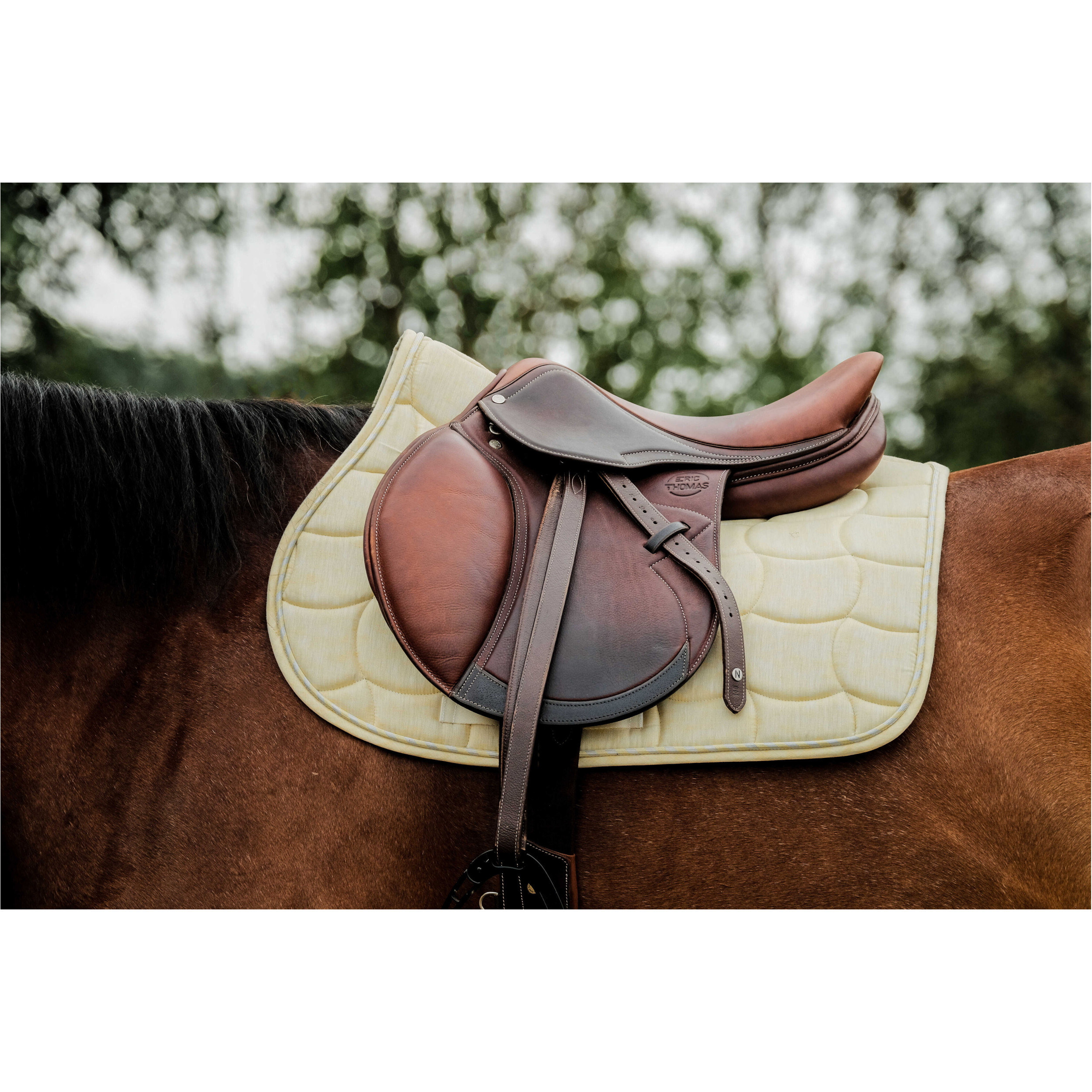 Schabracke SUNSHINE gelb Warmblut Vielseitigkeit Schabracke SUNSHINE gelb Warmblut Vielseitigkeit