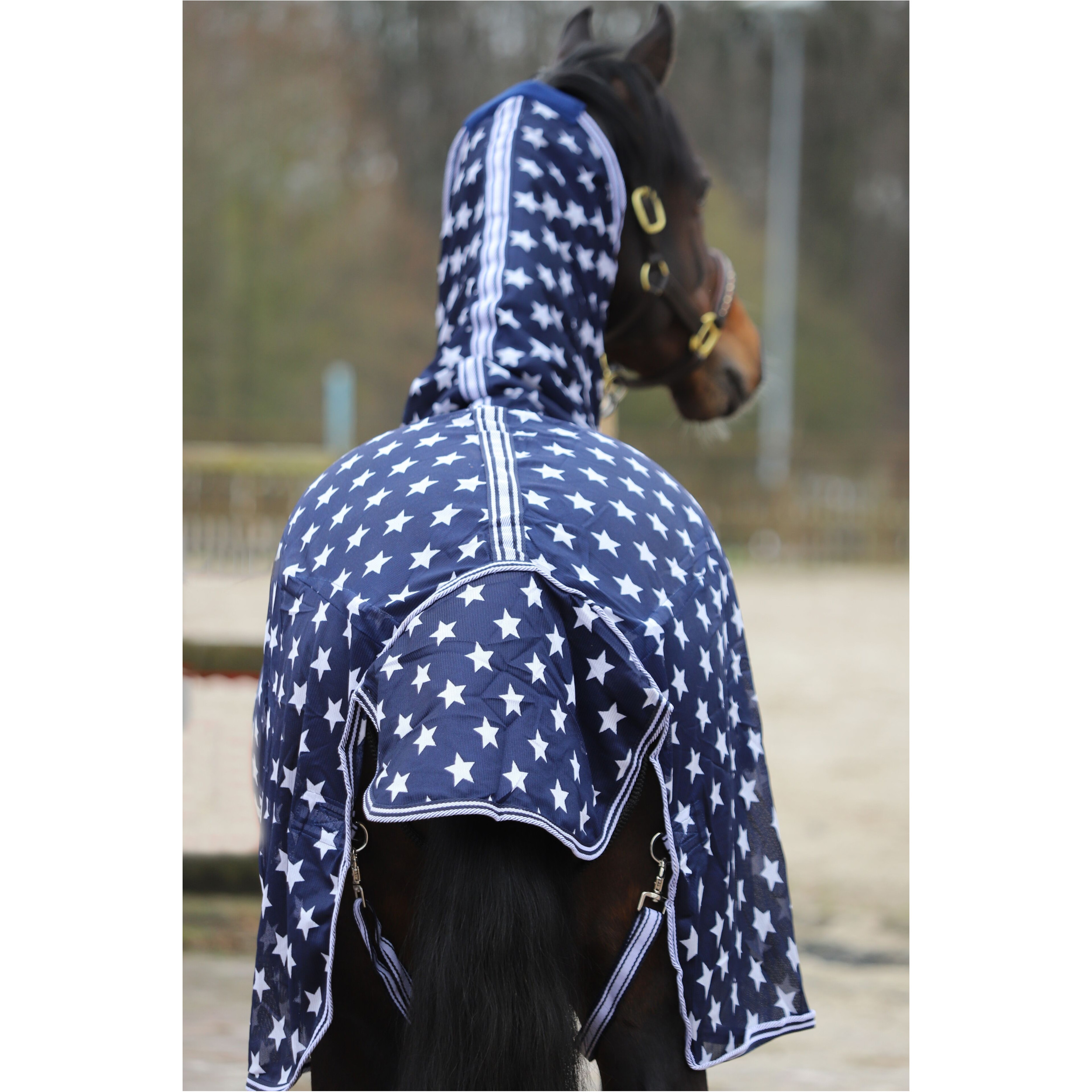 Fliegendecke mit Halsteil und Kreuzgurt DESIGN Star dunkelblau/weiß