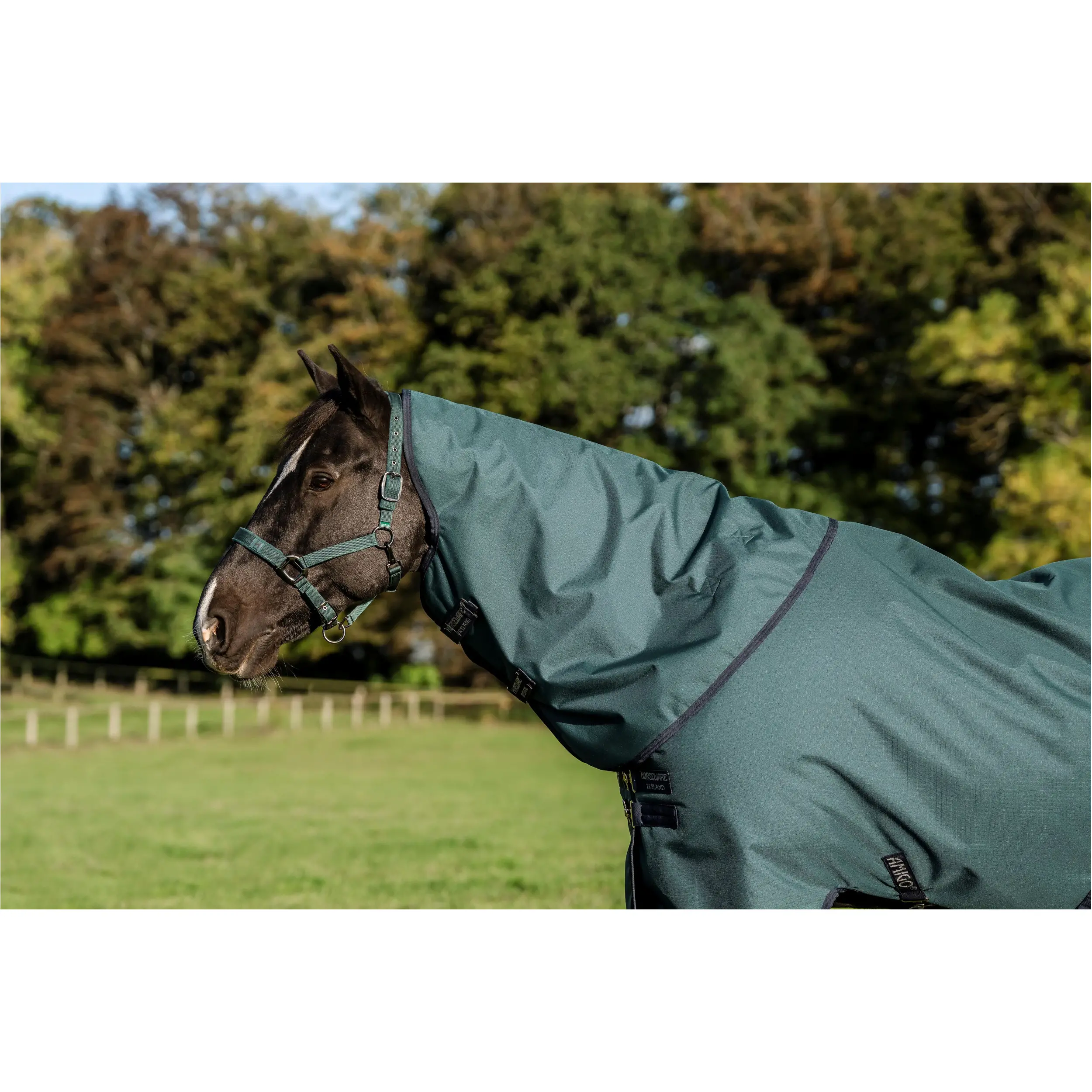 Halsteil 900D AMIGO Ripstop Turnout Hood dynasty green/navy/silver