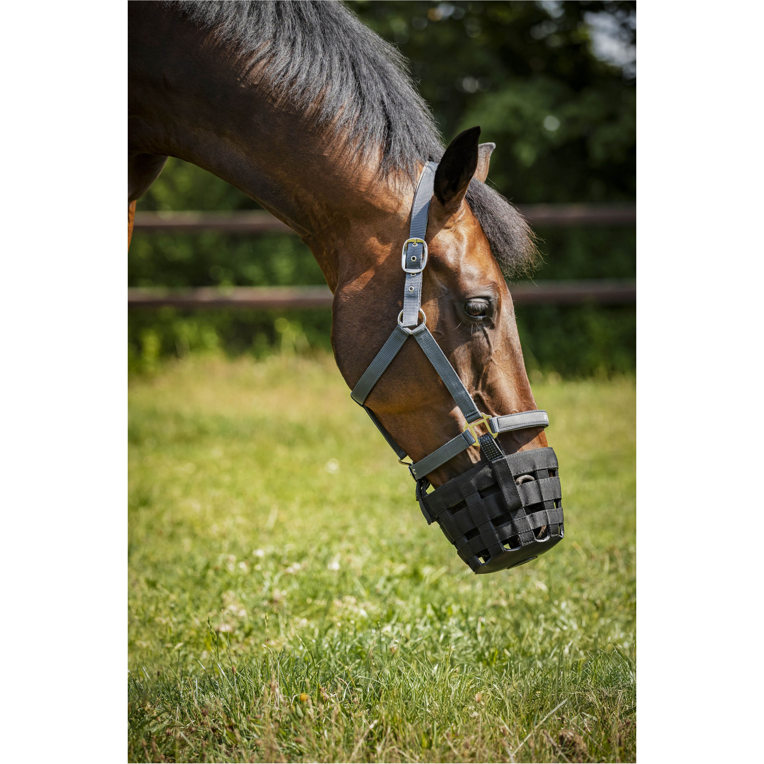 Fressbremse für Halfter schwarz Fressbremse für Halfter schwarz