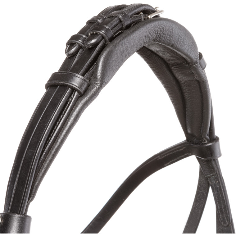 Trensenzaum mit schwedischen Reithalfter FORTUNA schwarz lack/weiß