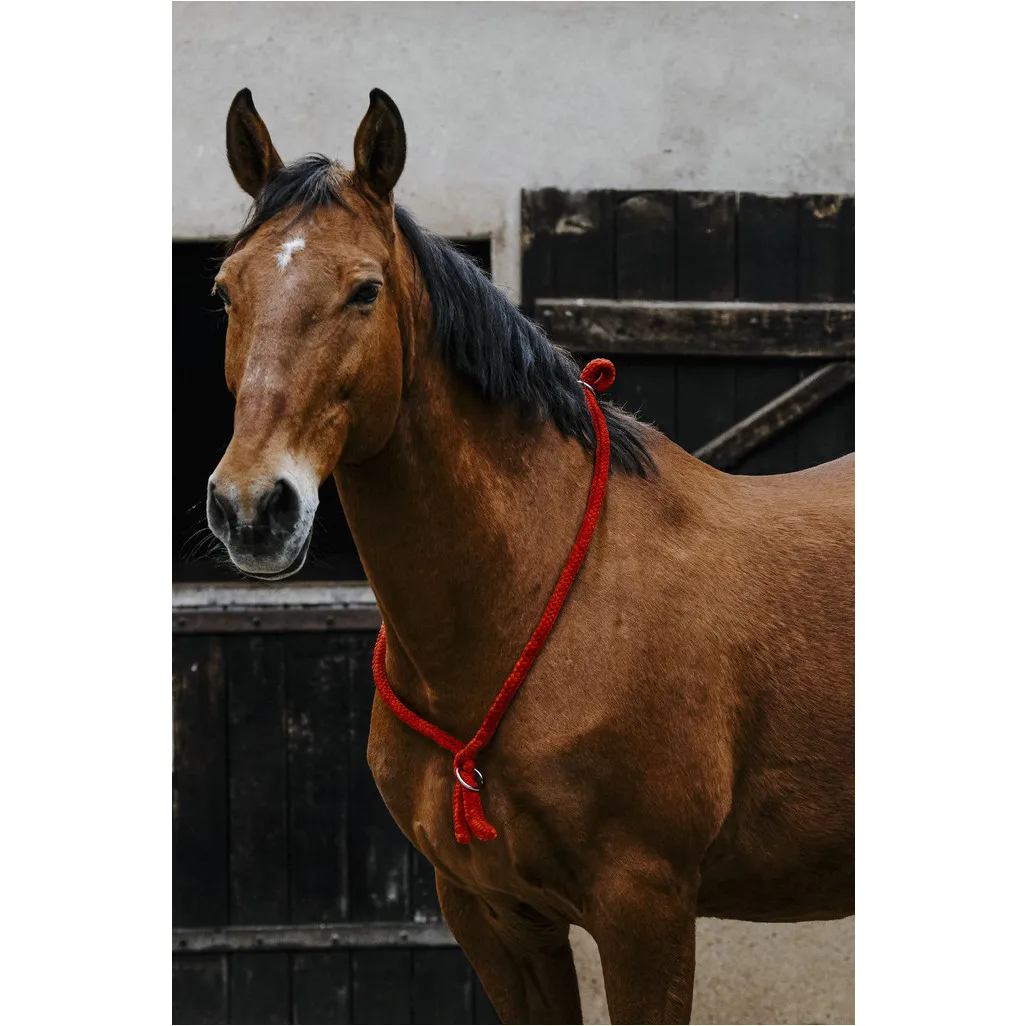 Ethologisches Halsband rot