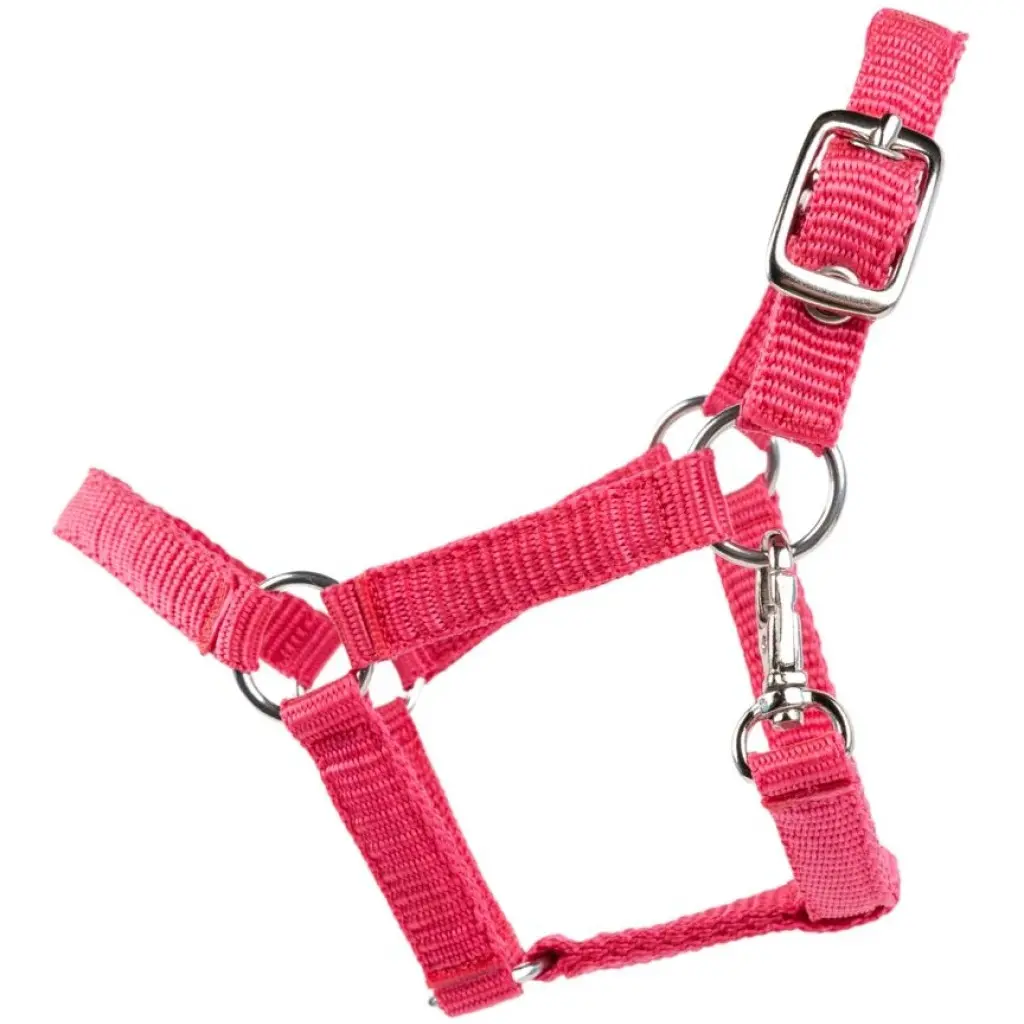 Spielzeughalfter pink Spielzeughalfter pink