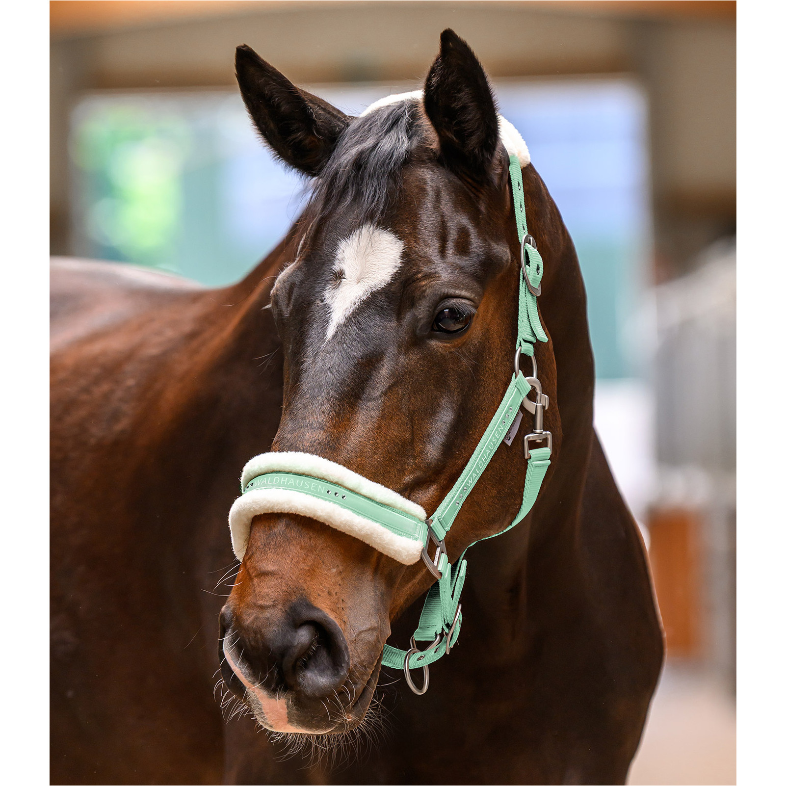 Halfter ELEGANT pistazie