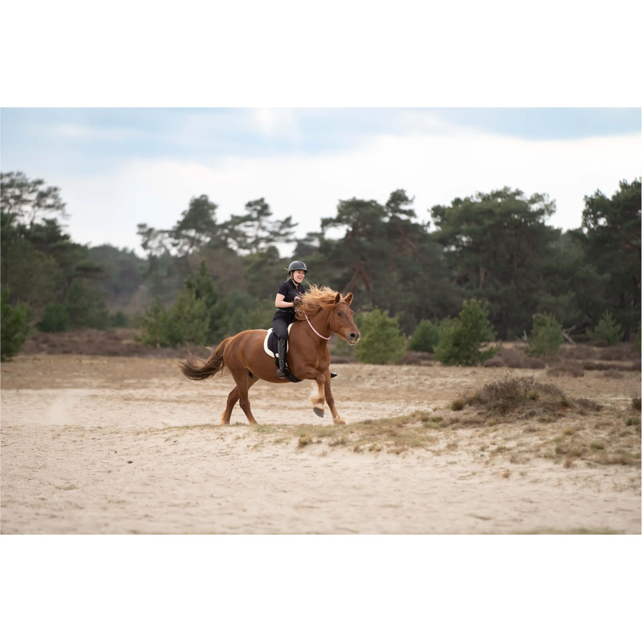 Halsring IRHFree Ride classy pink