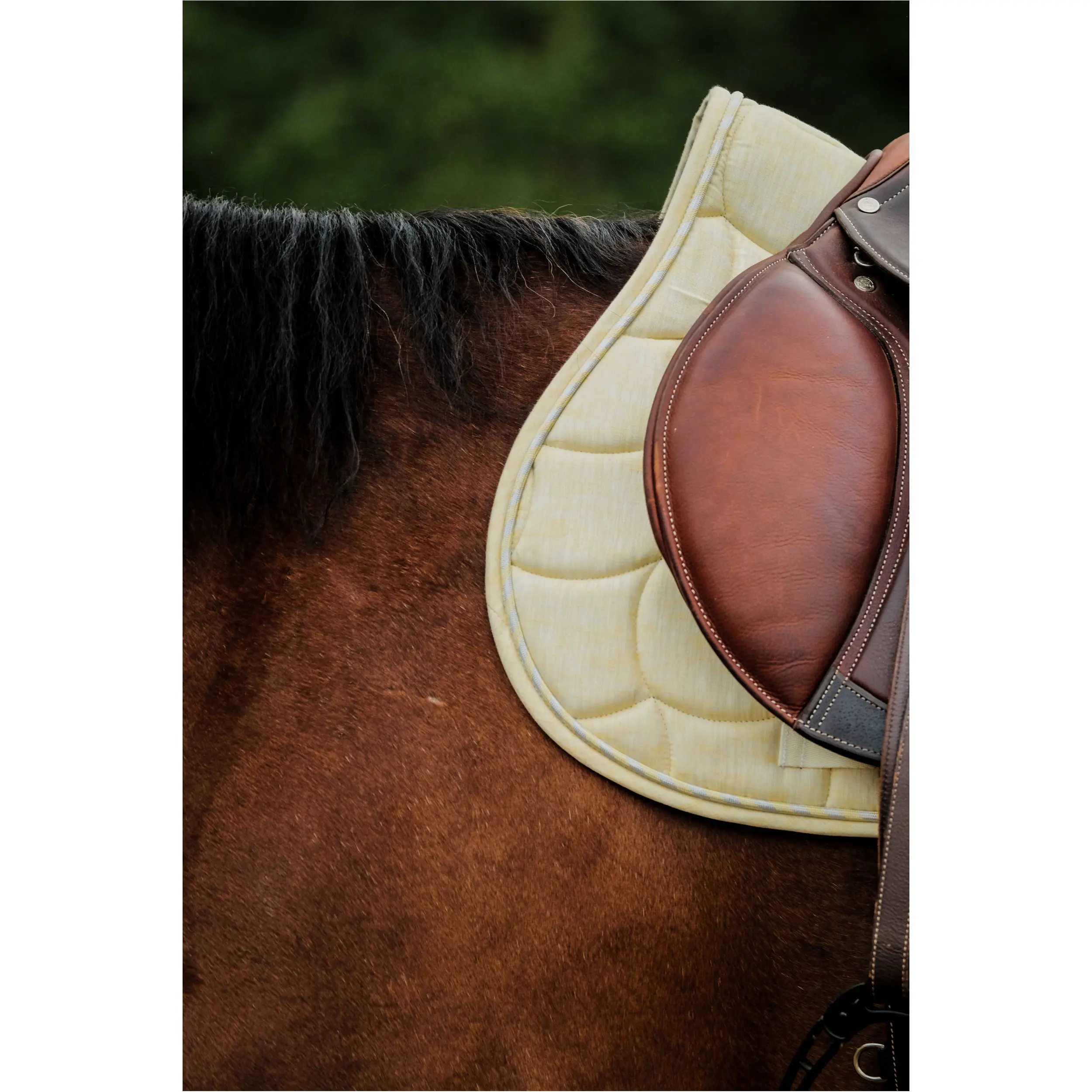 Schabracke SUNSHINE gelb Warmblut Vielseitigkeit Schabracke SUNSHINE gelb Warmblut Vielseitigkeit