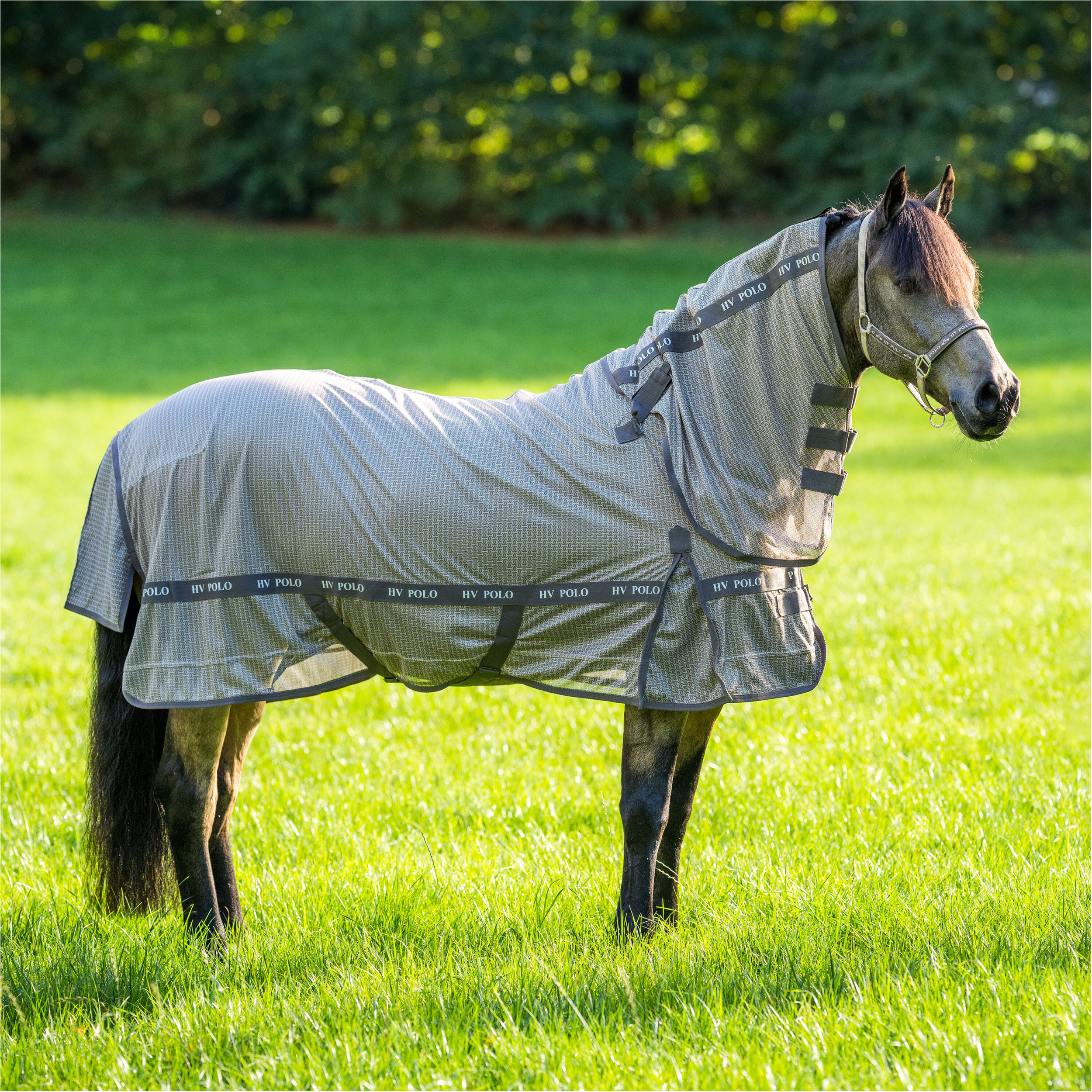 Fliegendecke HVPNena AOP champagne Fliegendecke HVPNena AOP champagne