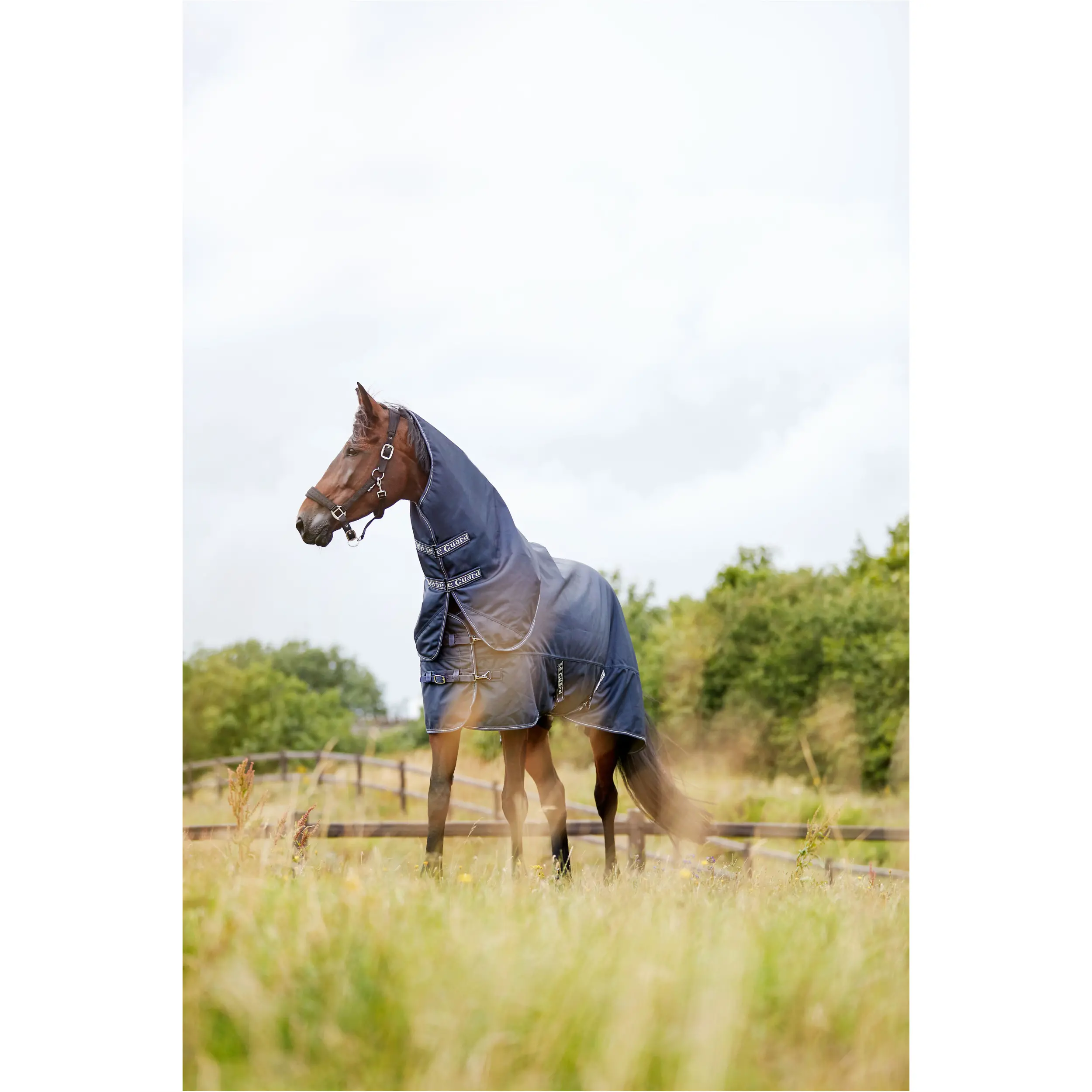 Turnoutdecke mit abnehmbarem Halsteil 100g Füllung 1200D MILLAN navy Turnoutdecke mit abnehmbarem Halsteil 100g Füllung 1200D MILLAN navy