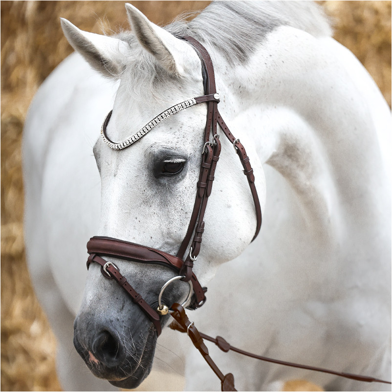 Trensenzaum englisch kombiniert EVERNESS Leder geölt braun