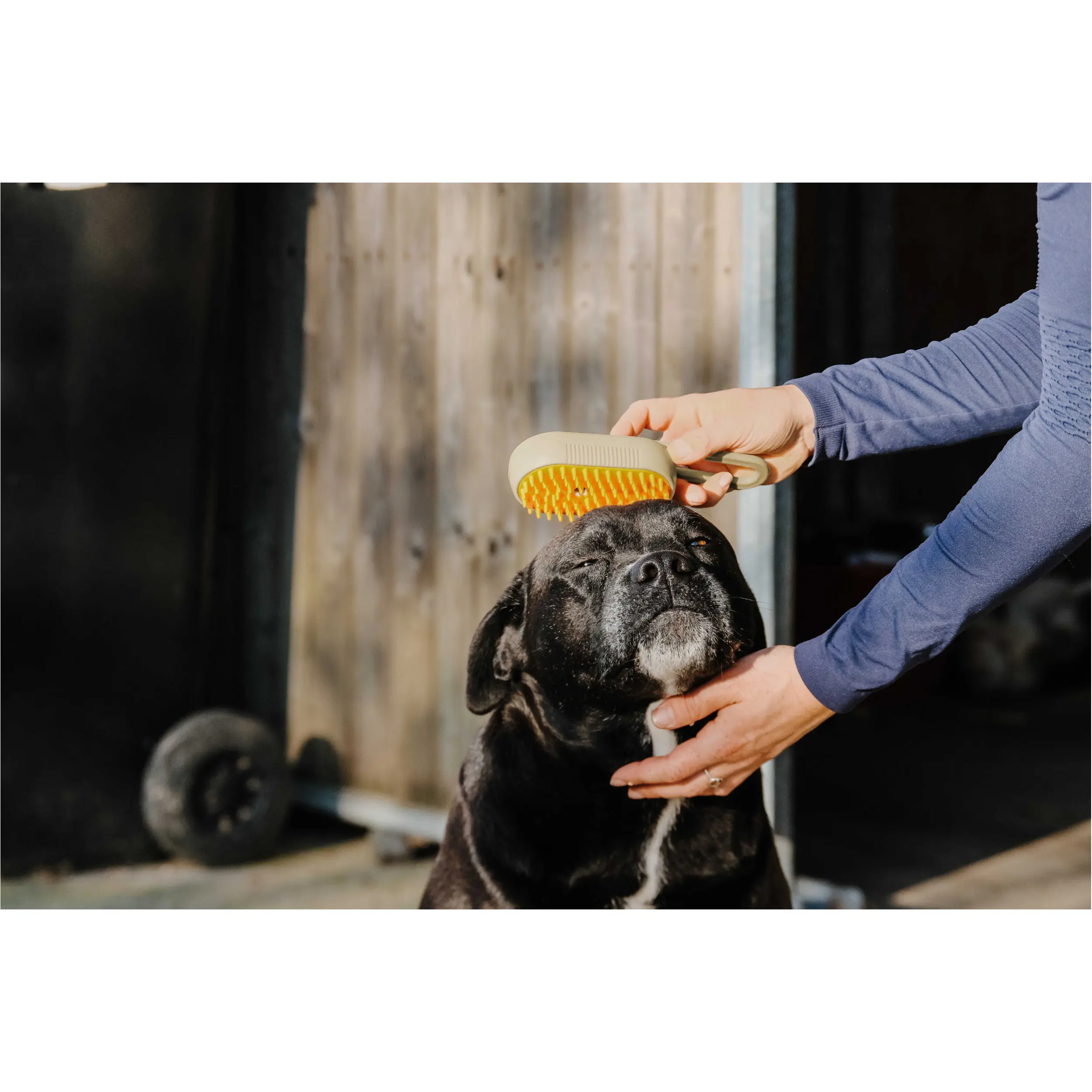 Dampfbürste mit Griff taupe