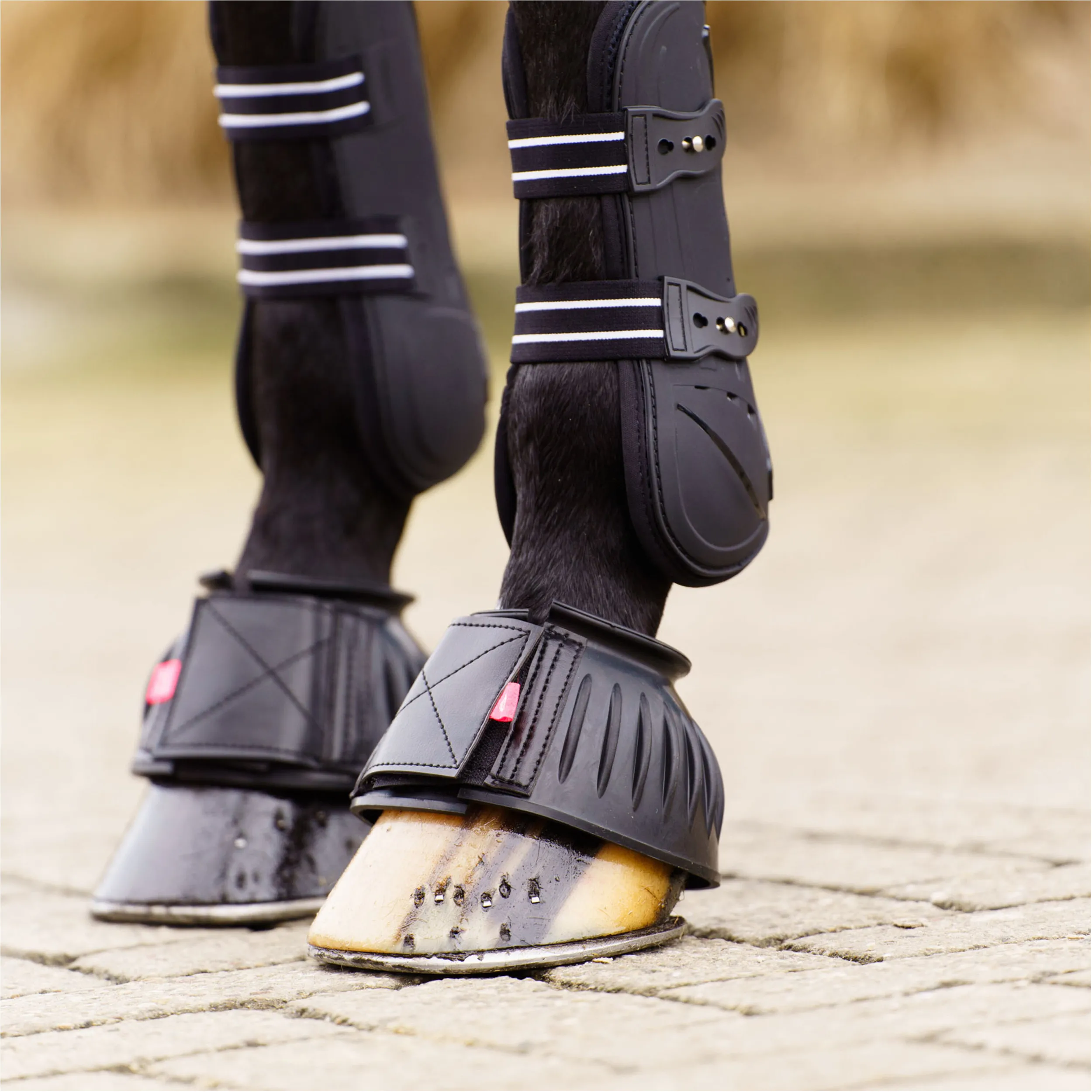 Hufglocken IRHBells schwarz