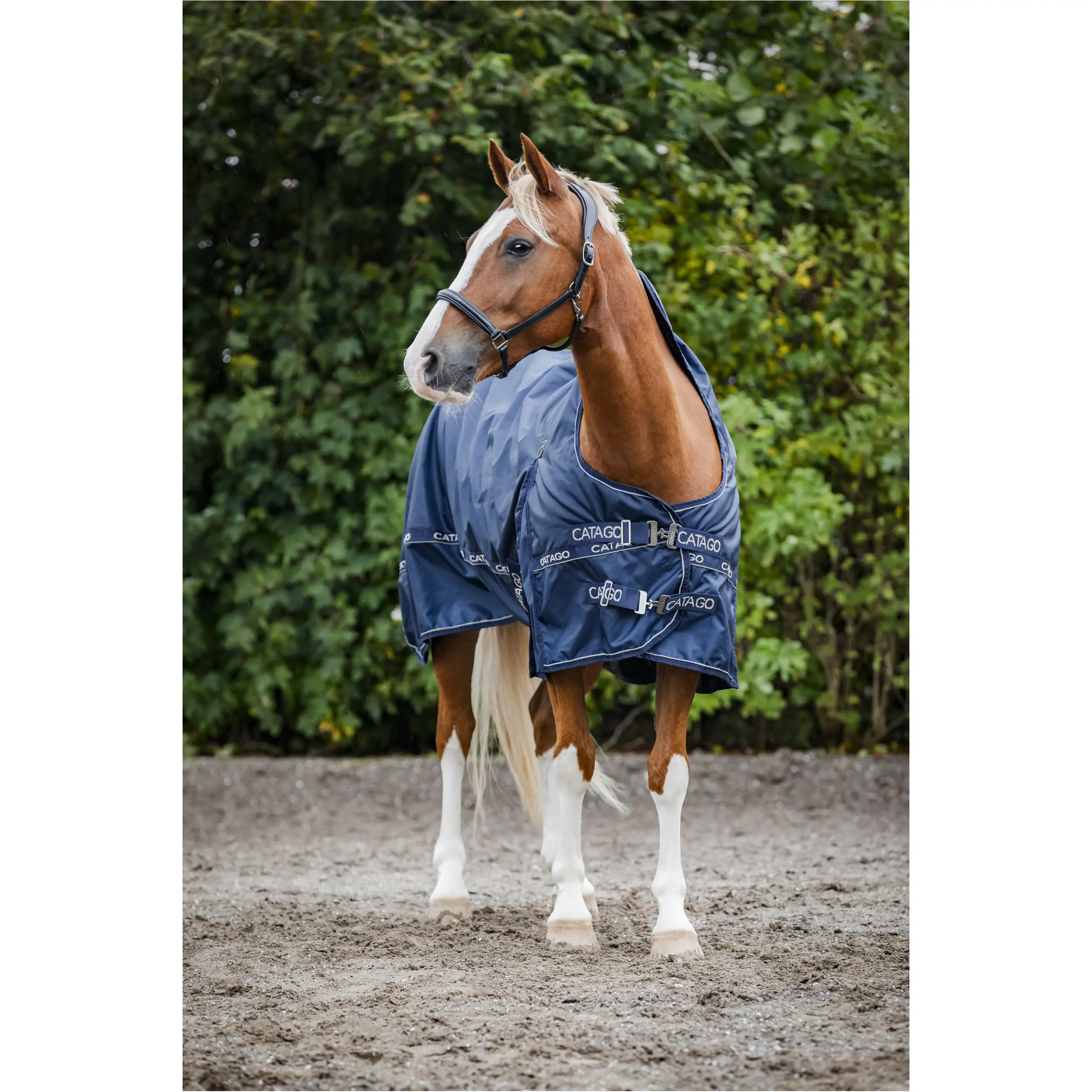 Weidedecke High Neck 300g Füllung 840D BARLOW navy Weidedecke High Neck 300g Füllung 840D BARLOW navy