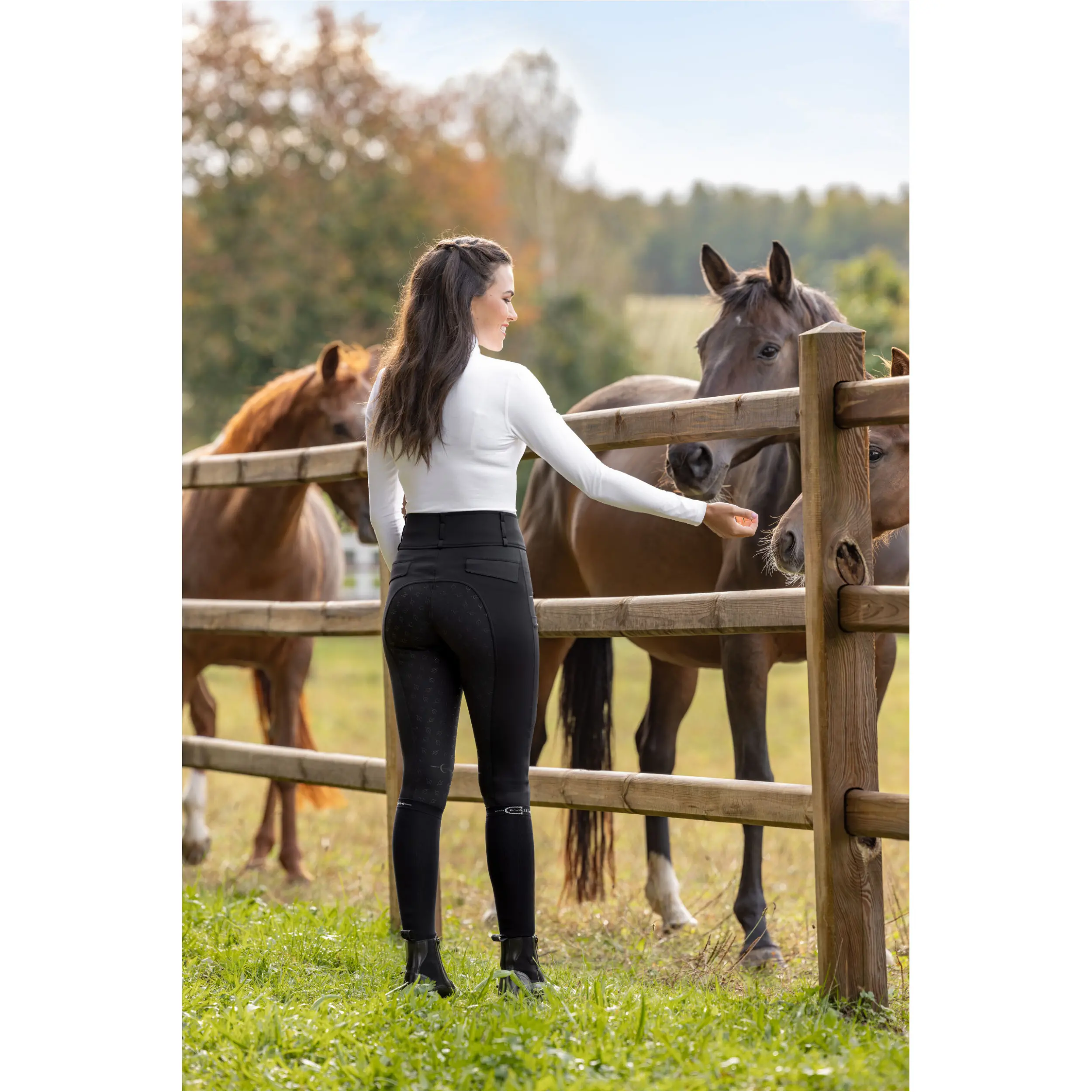 Damen Reithose Silikon Vollbesatz HIGHWAIST Hochbund schwarz