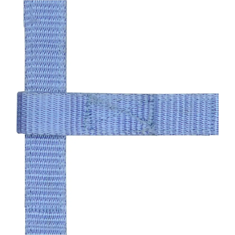 Fohlenhalfter hellblau