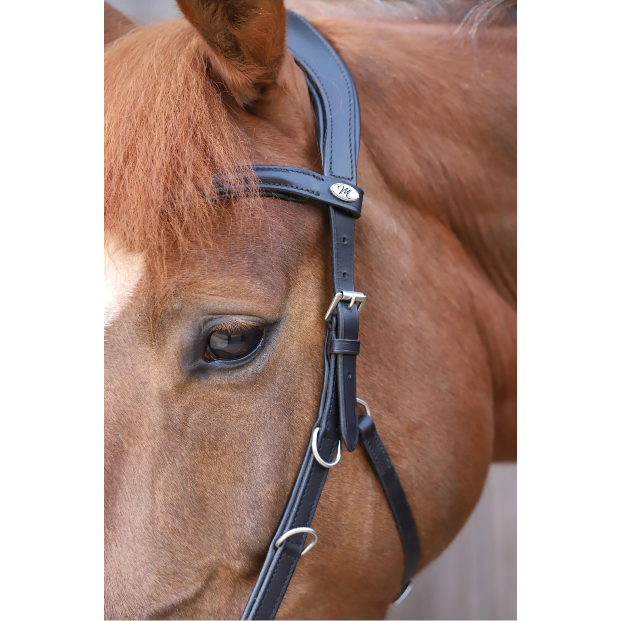 Kappzaum ANATOMIC Echtleder schwarz