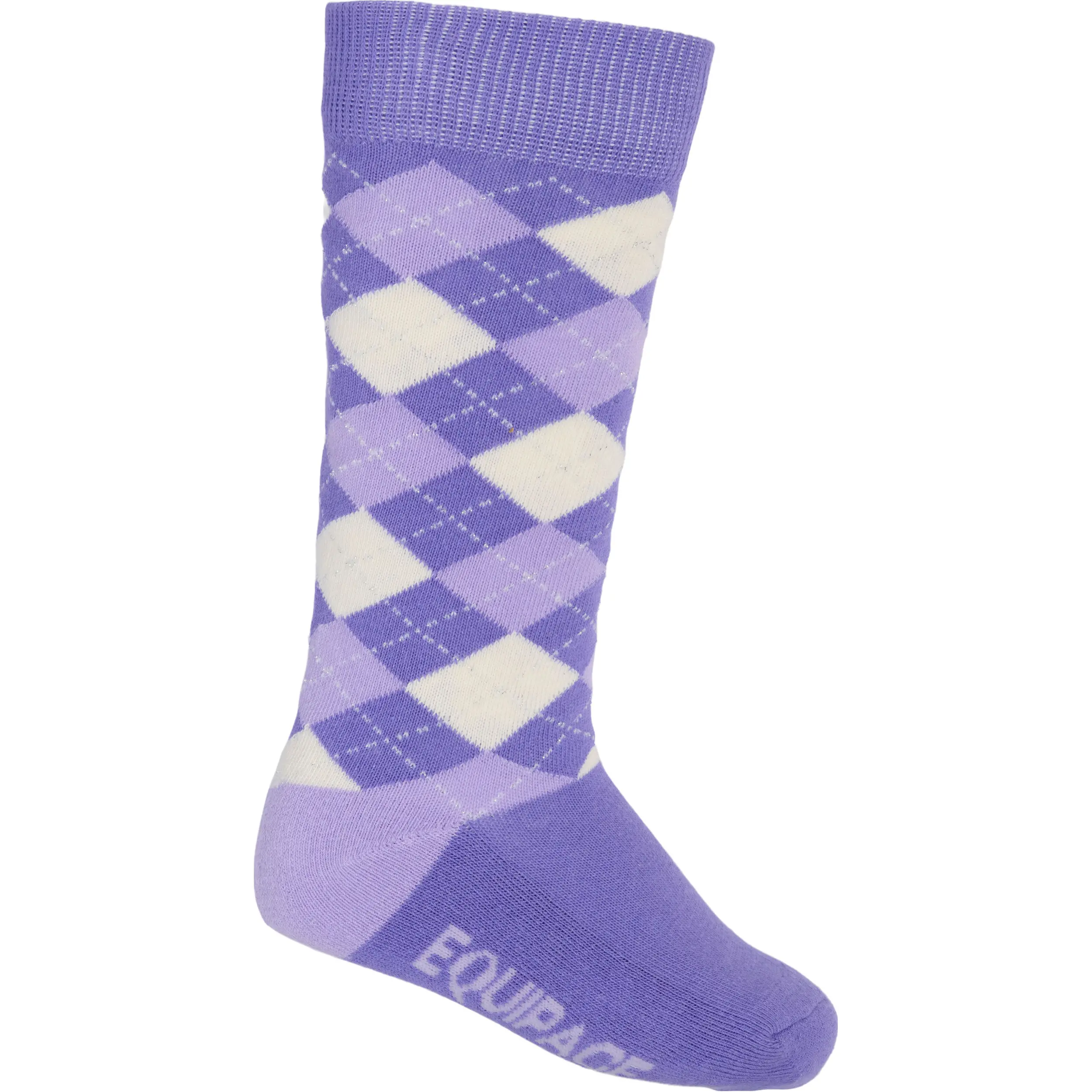 aster purple