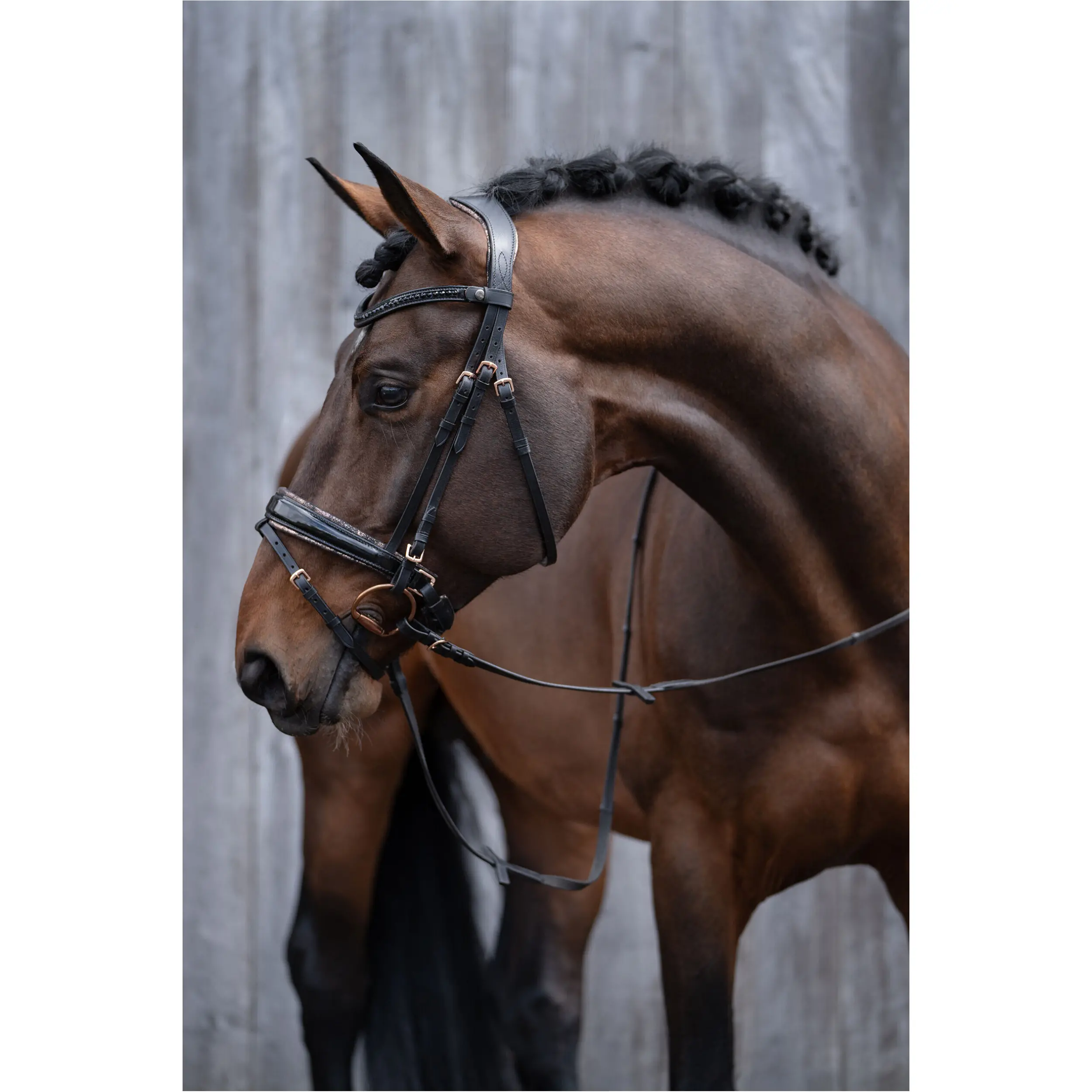 Trensenzaum SOFIA schwarz/rosegold Trensenzaum SOFIA schwarz/rosegold