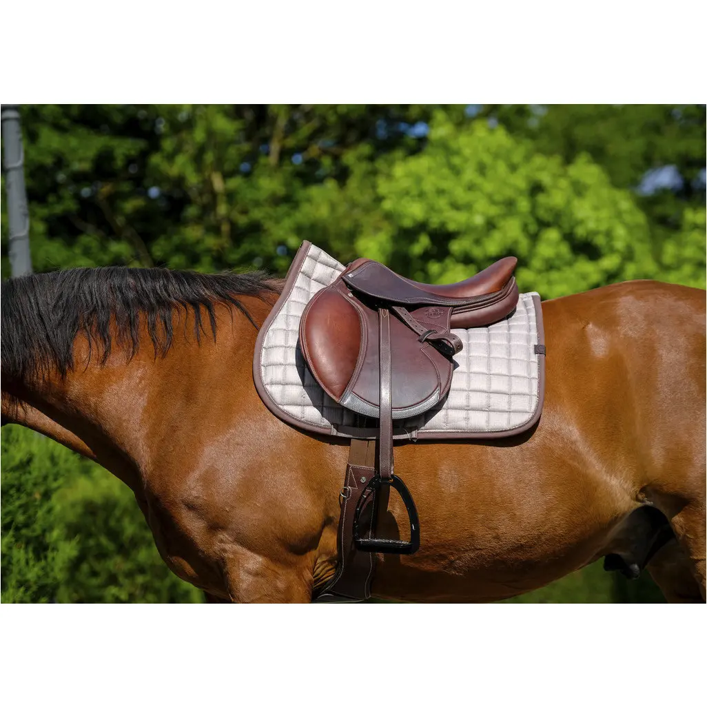Schabracke CHIC braun Warmblut Vielseitigkeit Schabracke CHIC braun Warmblut Vielseitigkeit