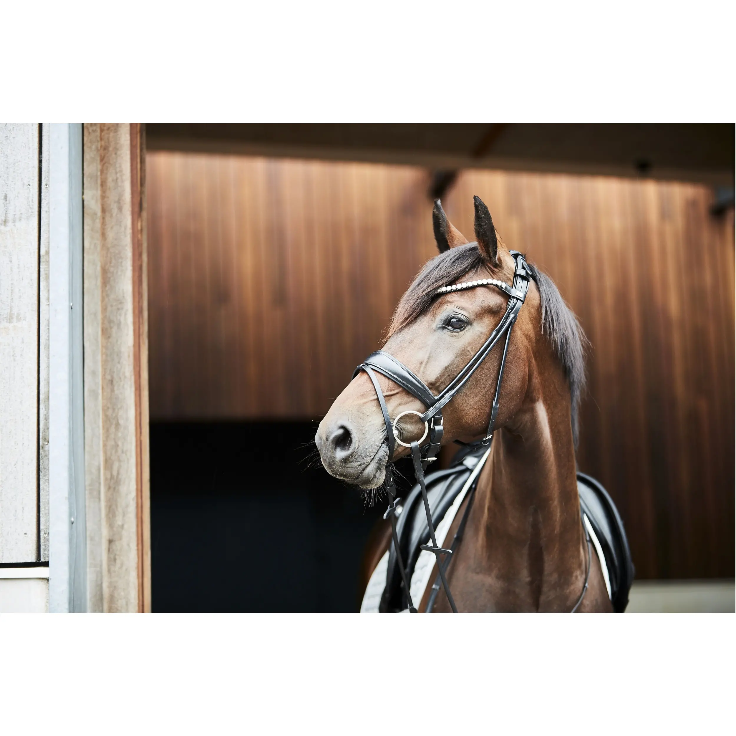 Trensenzaum rundgenäht KAVA Echtleder schwarz