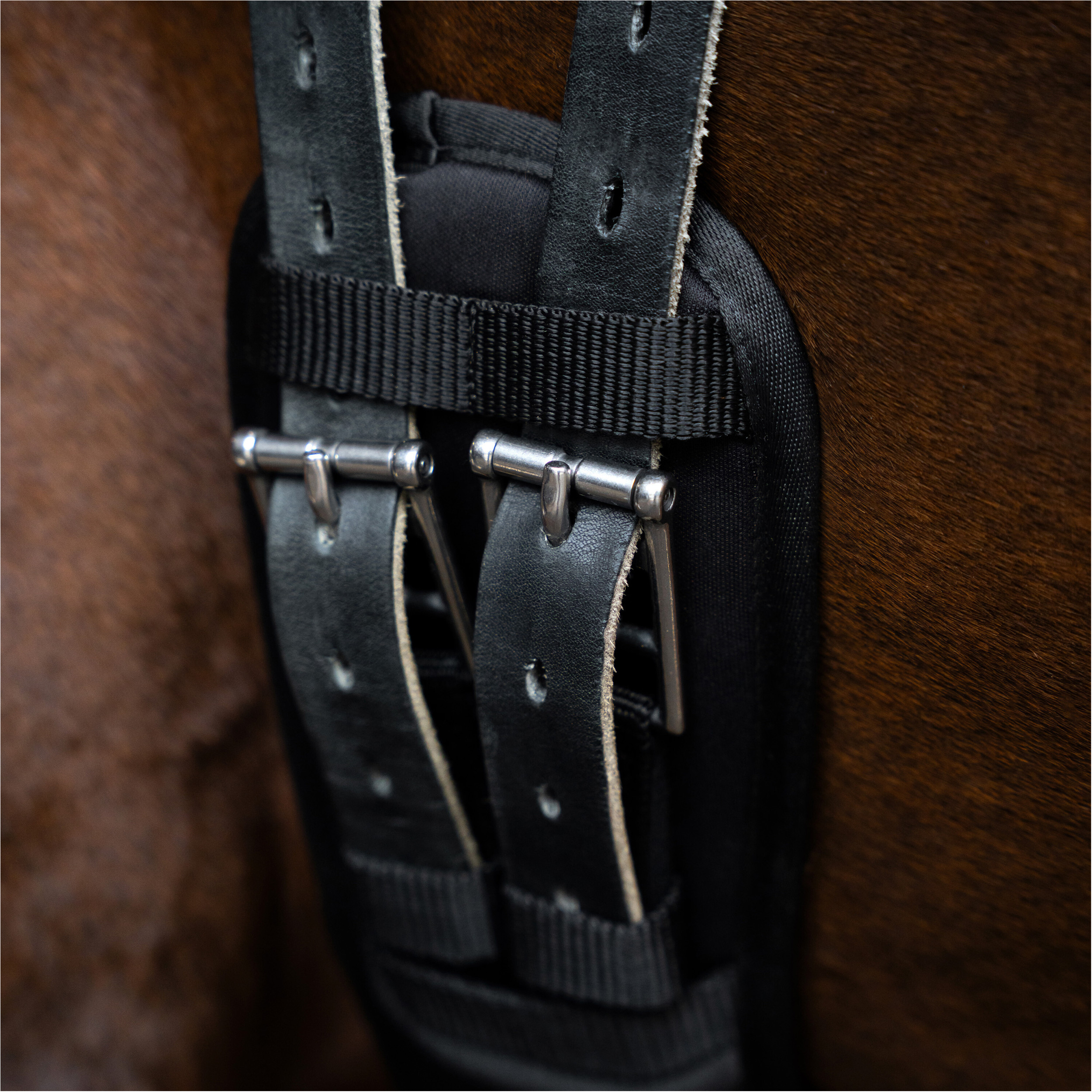 Dressurgurt IRH mit Memoryschaum schwarz