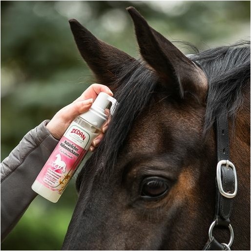 Natürlicher Mähnenschaum Einflechtwunder 200ml