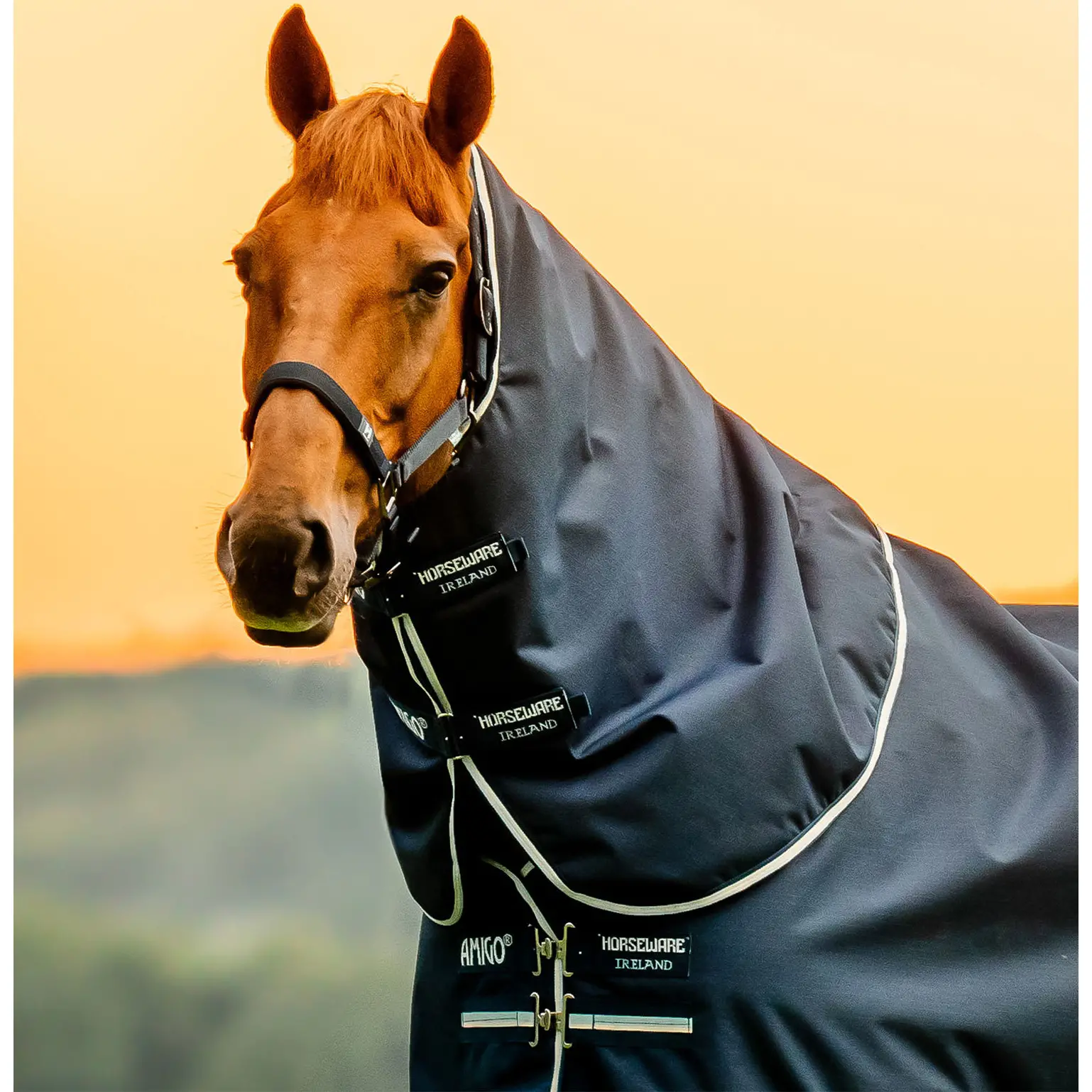 Halsteil 900D AMIGO Ripstop Turnout Hood witney navy