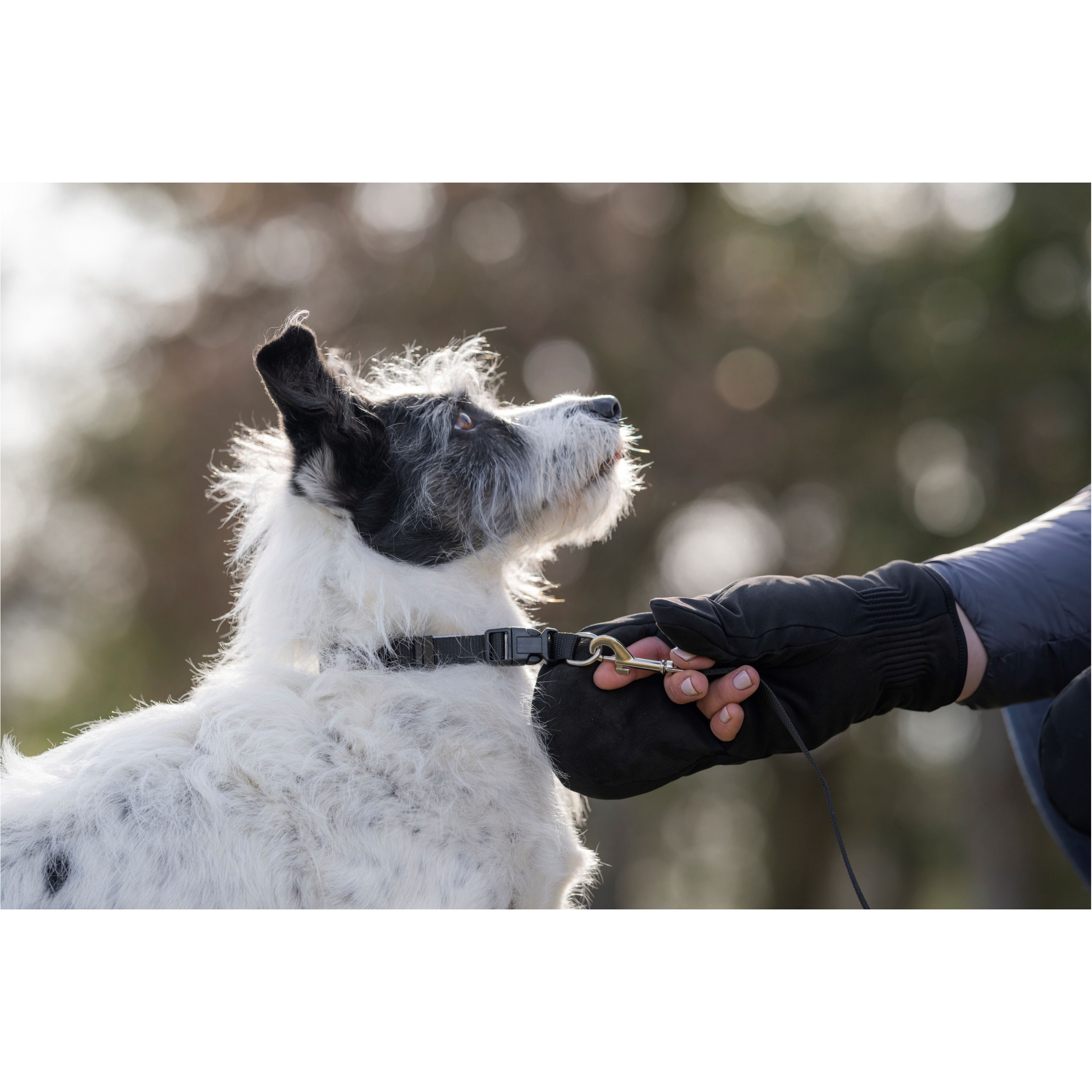 Winter Outdoorhandschuhe NAGOYA schwarz