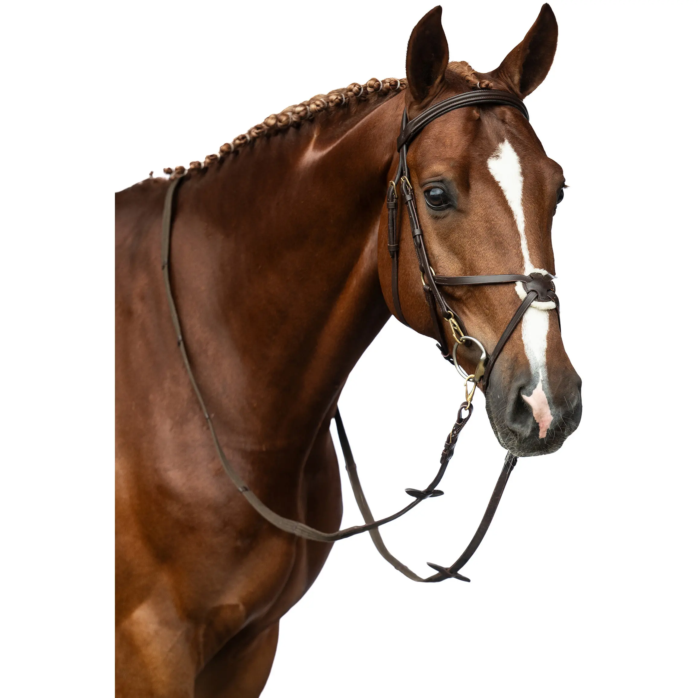 Trensenzaum mit mexikanischem Reithalfter MEXICAN STYLE braun