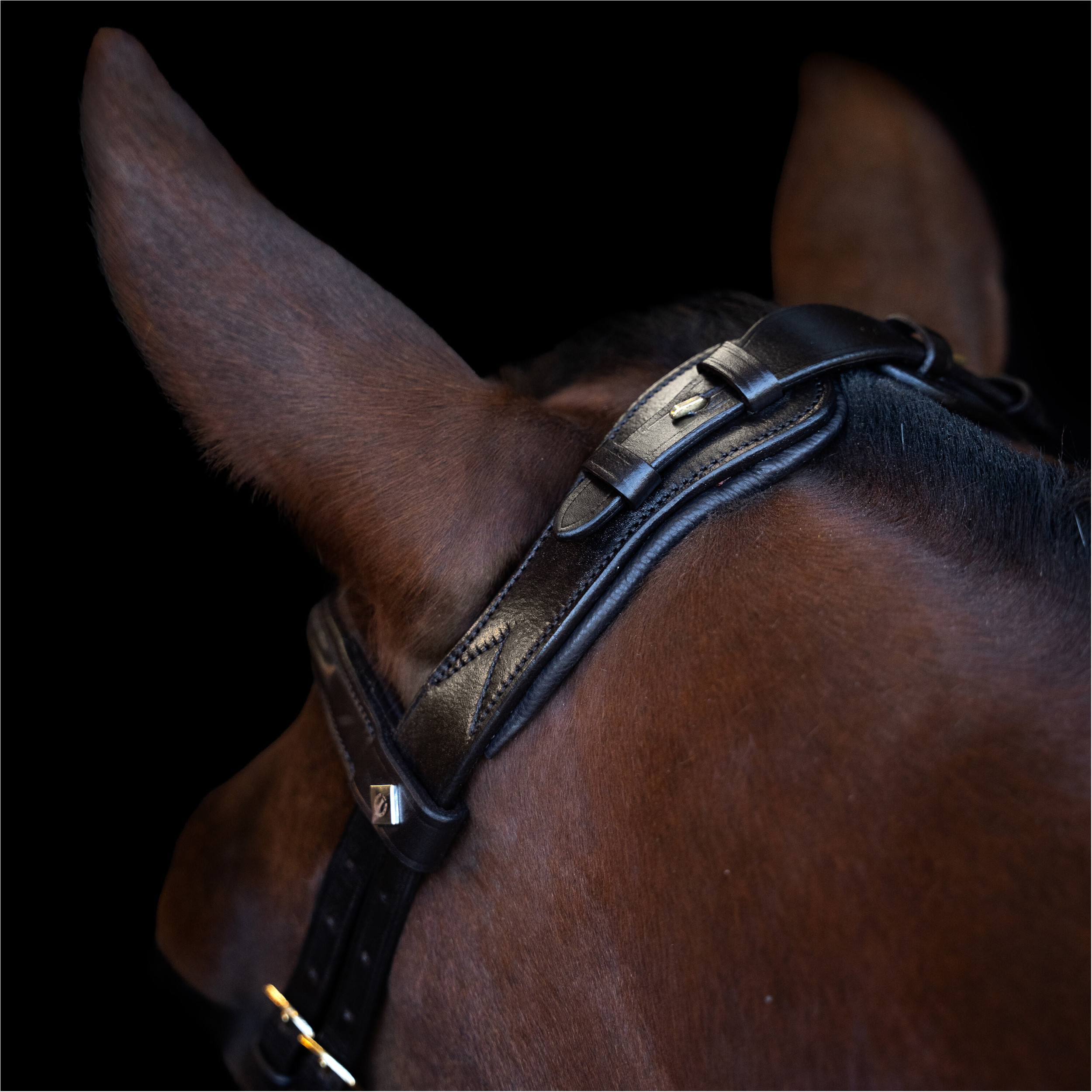 Trensenzaum IRH mit ergonomischem Nasenriemen braun