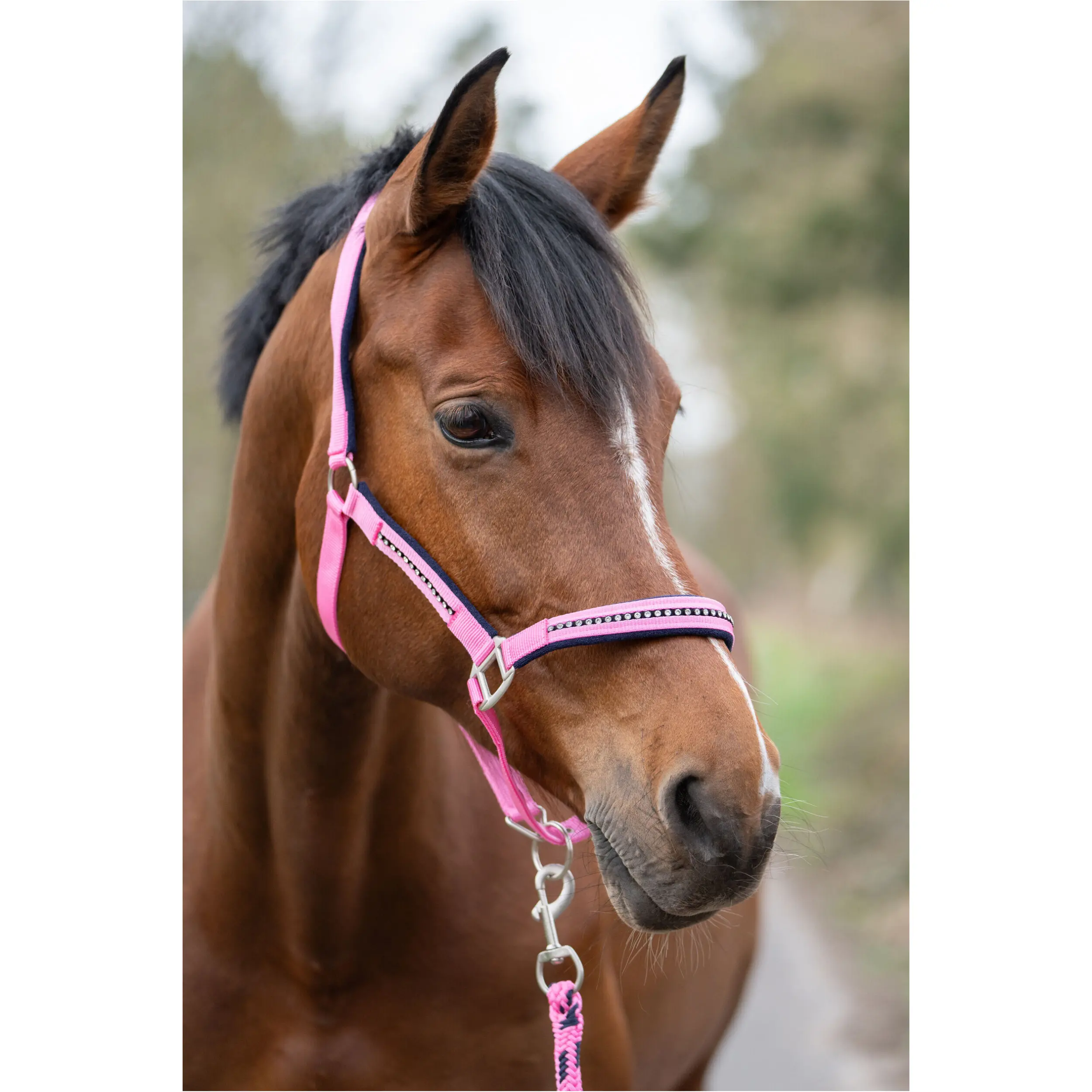 Halfter + Strick Set weich unterlegt CRYSTAL pink/dunkelblau