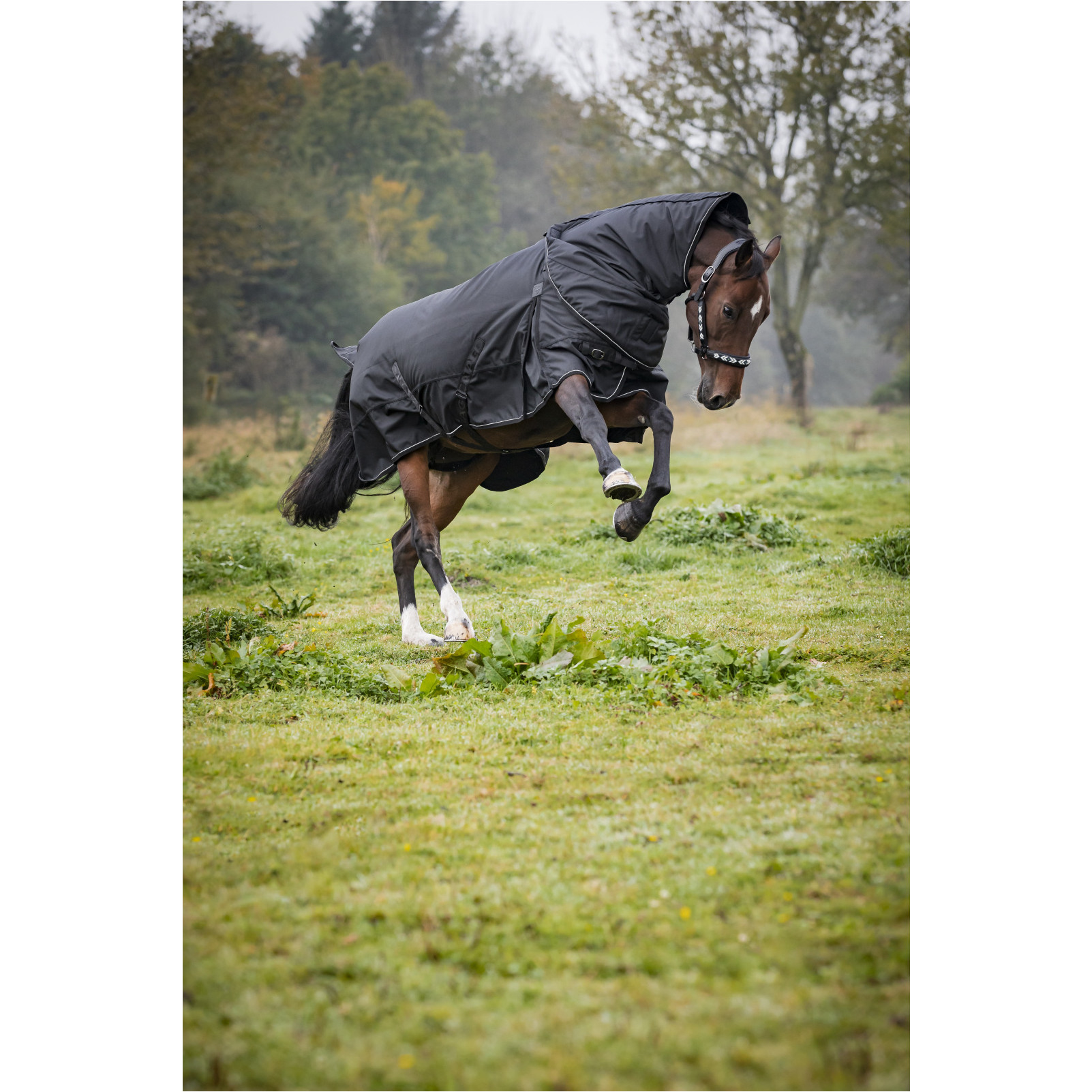 Outdoordecke 300g Füllung 1680D ENDURANCE 2.0 schwarz Outdoordecke 300g Füllung 1680D ENDURANCE 2.0 schwarz