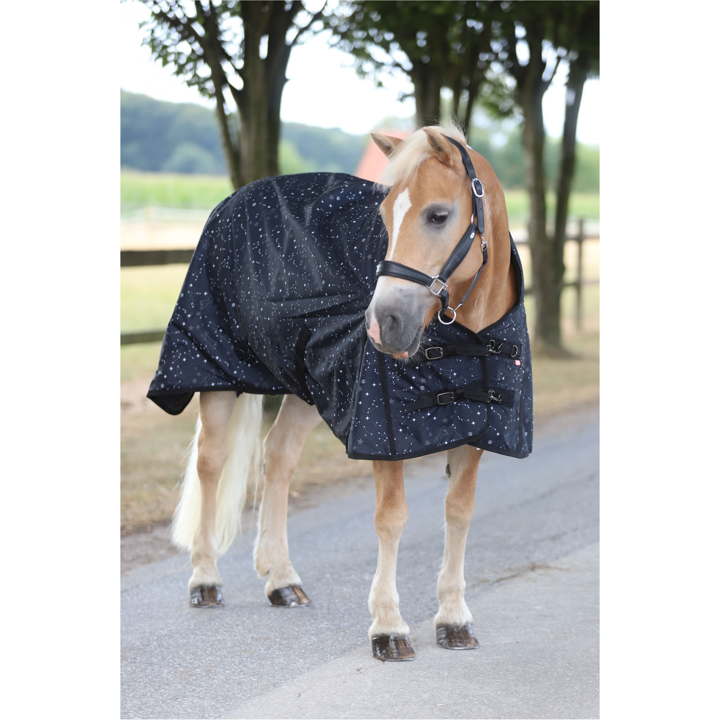 Outdoordecke 300g Füllung 600D IRHSuper-dry STARDUST black