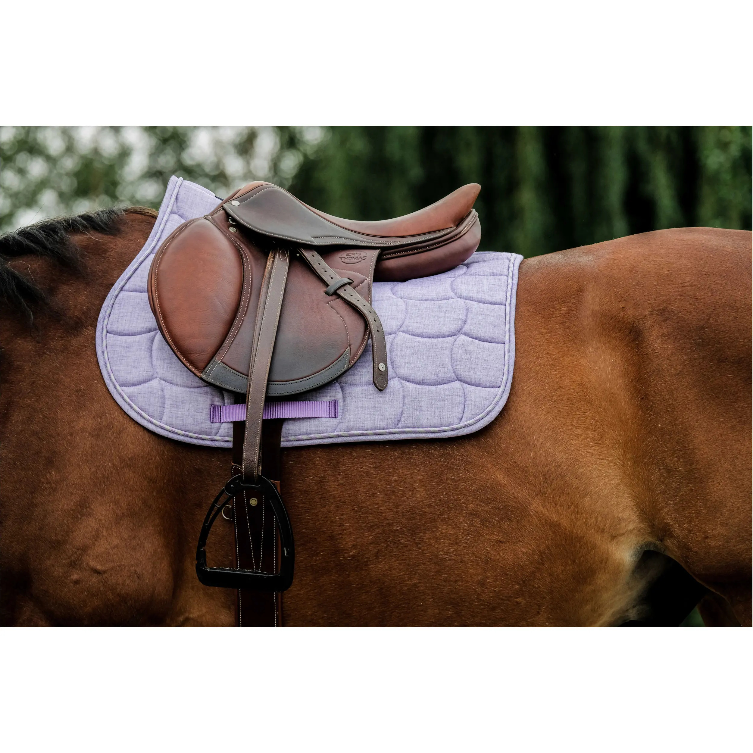Schabracke SUNSHINE lavendel Warmblut Vielseitigkeit