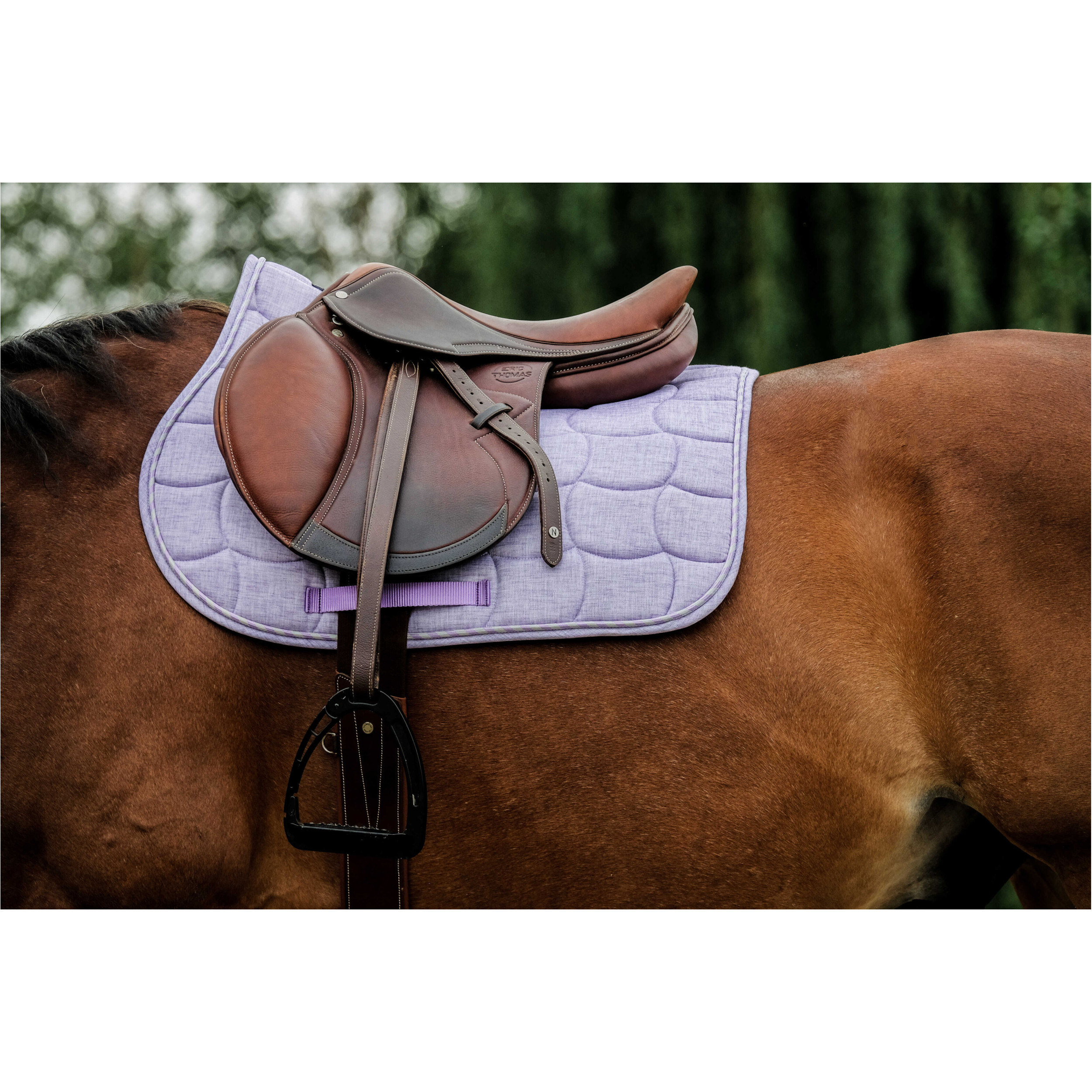 Schabracke SUNSHINE lavendel Warmblut Vielseitigkeit Schabracke SUNSHINE lavendel Warmblut Vielseitigkeit