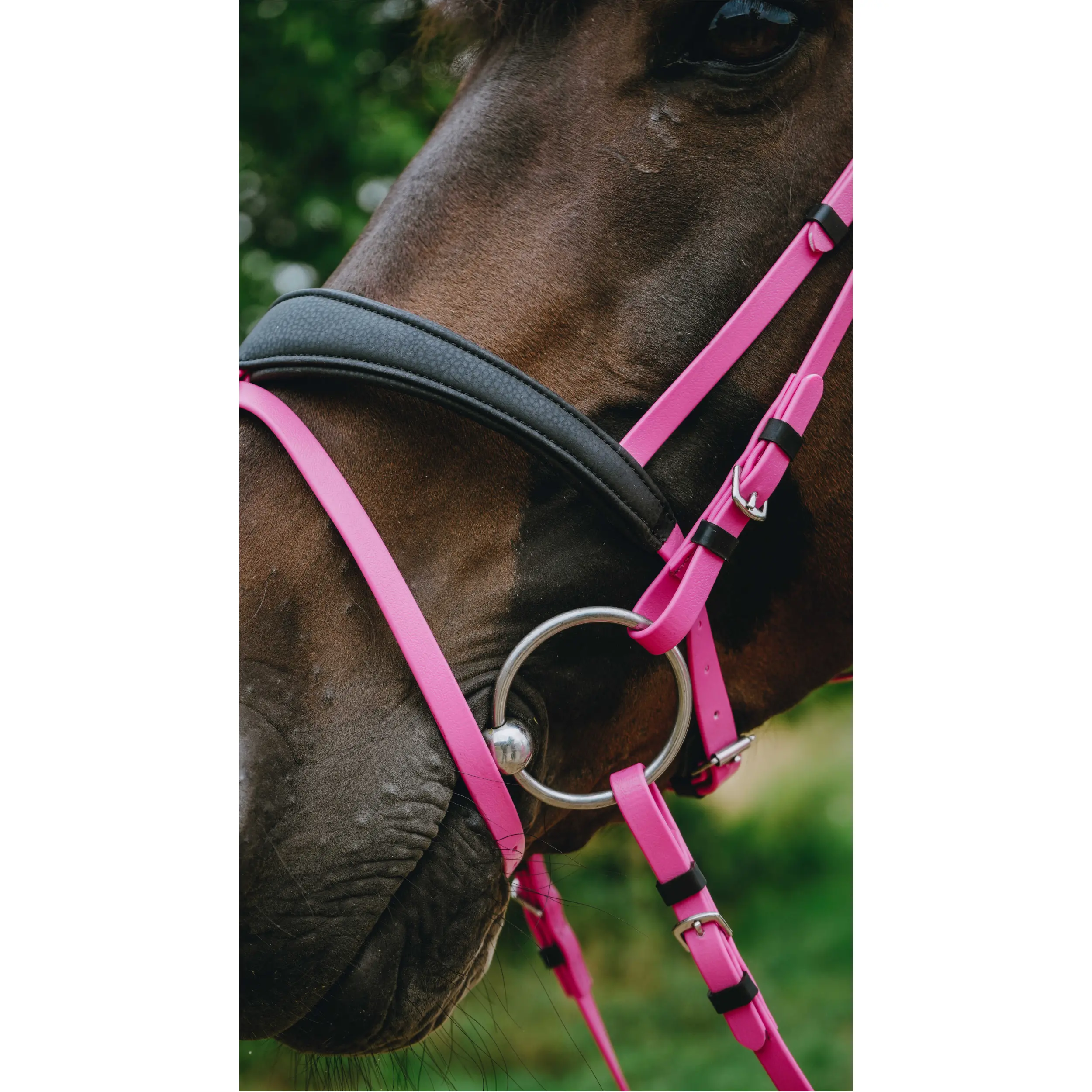 Trensenzaum ENDURANCE POP rosa