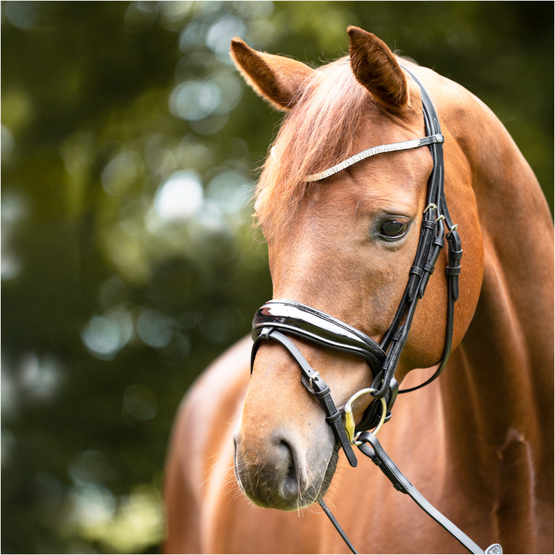 Stirnband PRINCESS schwarz/weiß