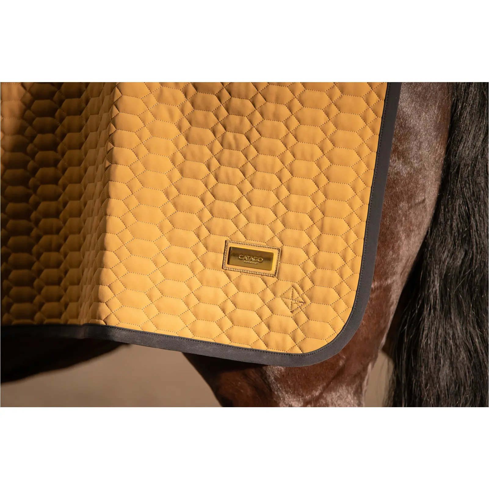 Ausreitdecken FIR-Tech GRAND kangaroo