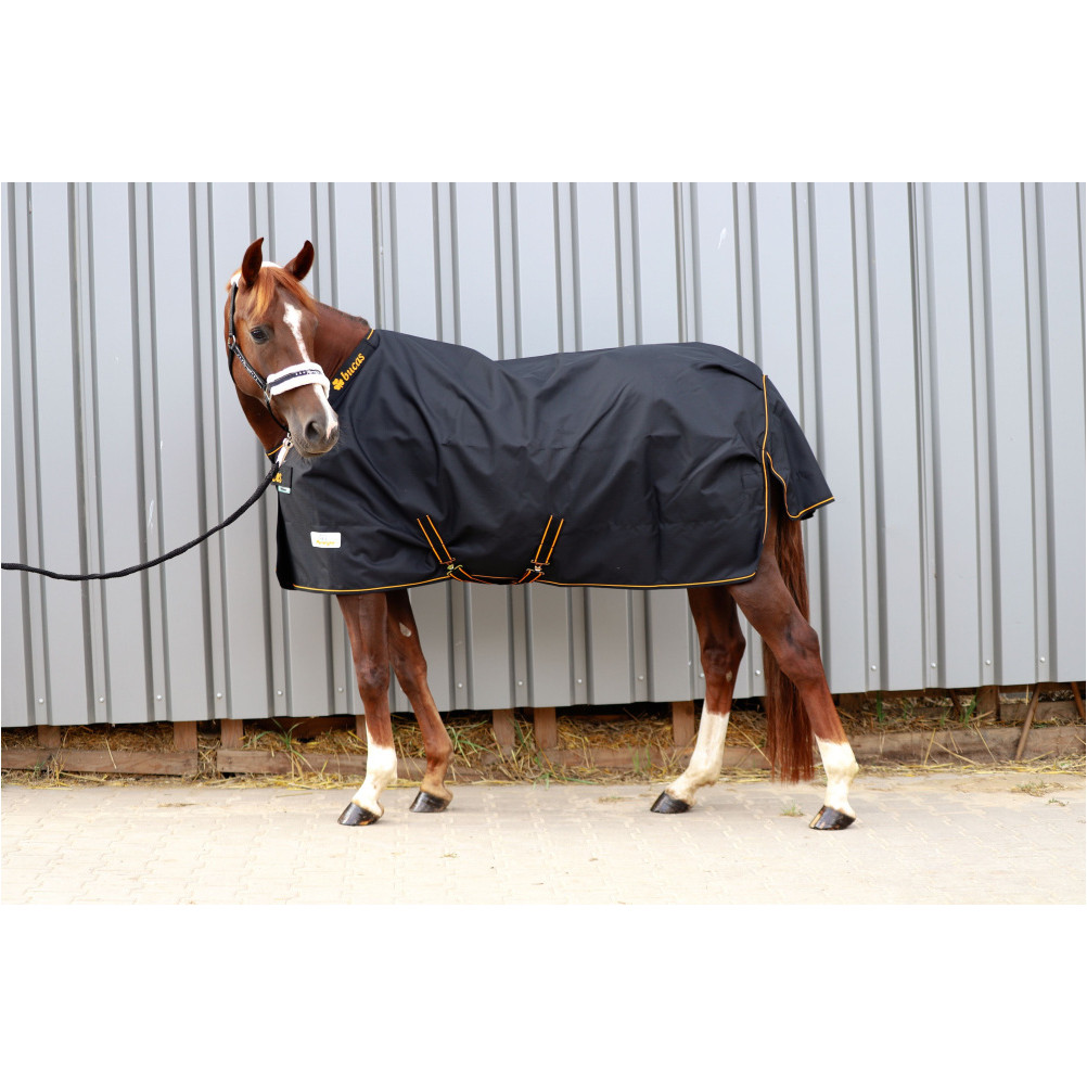 Weidedecke Stay-Dry 1200D IRISH TURNOUT schwarz/orange