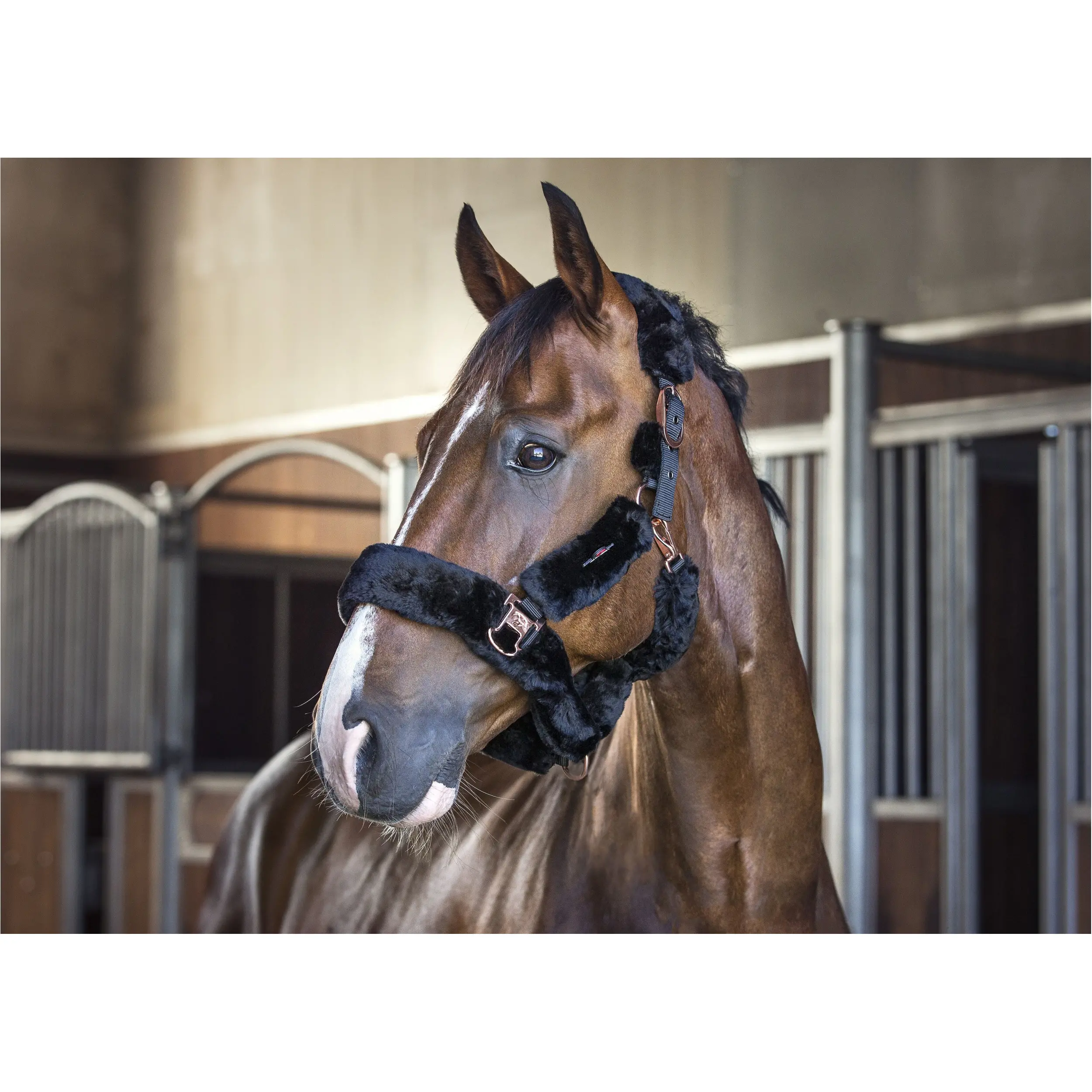 Halfter mit Lammfellimitat schwarz Halfter mit Lammfellimitat schwarz