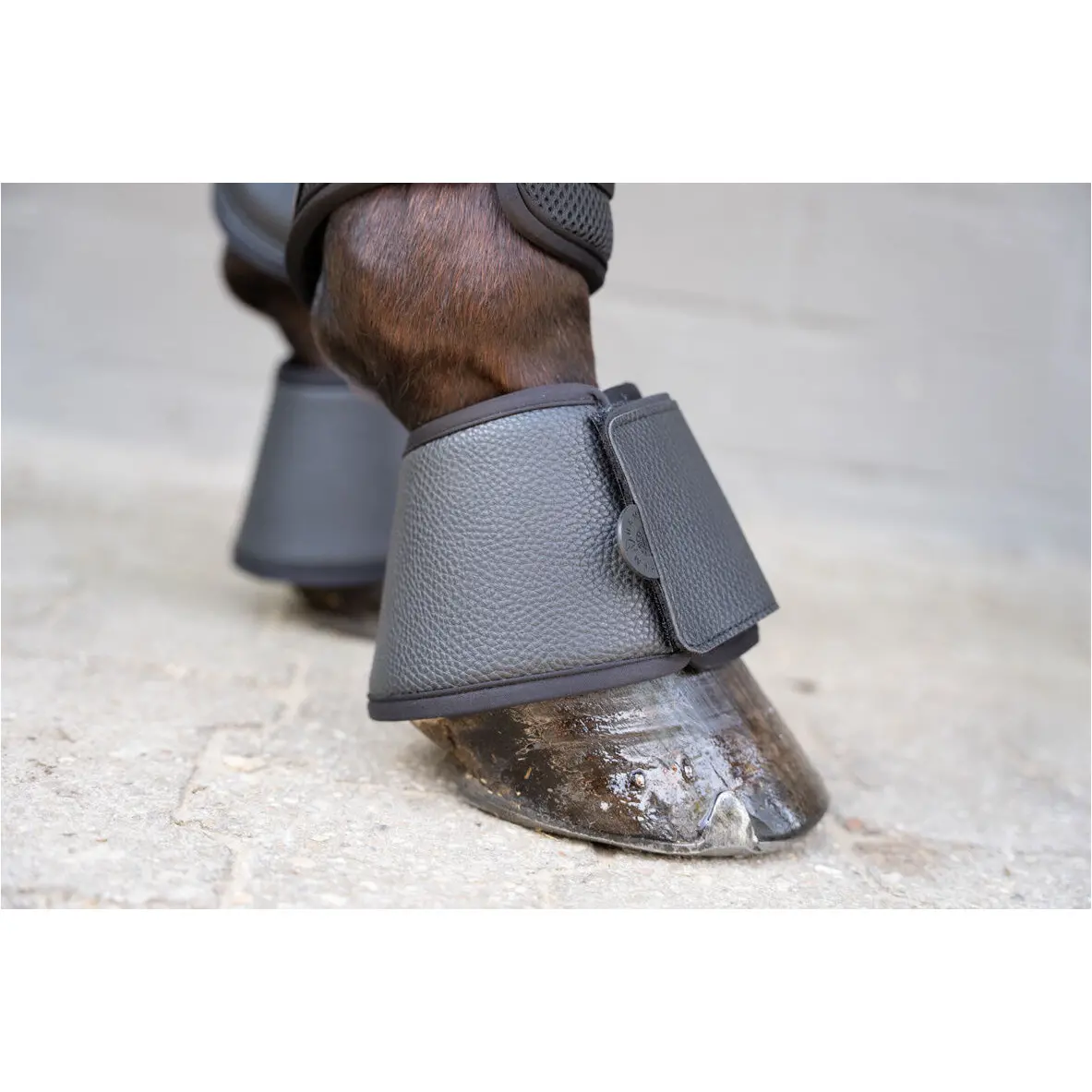 Hufglocken COMFORT PREMIUM schwarz