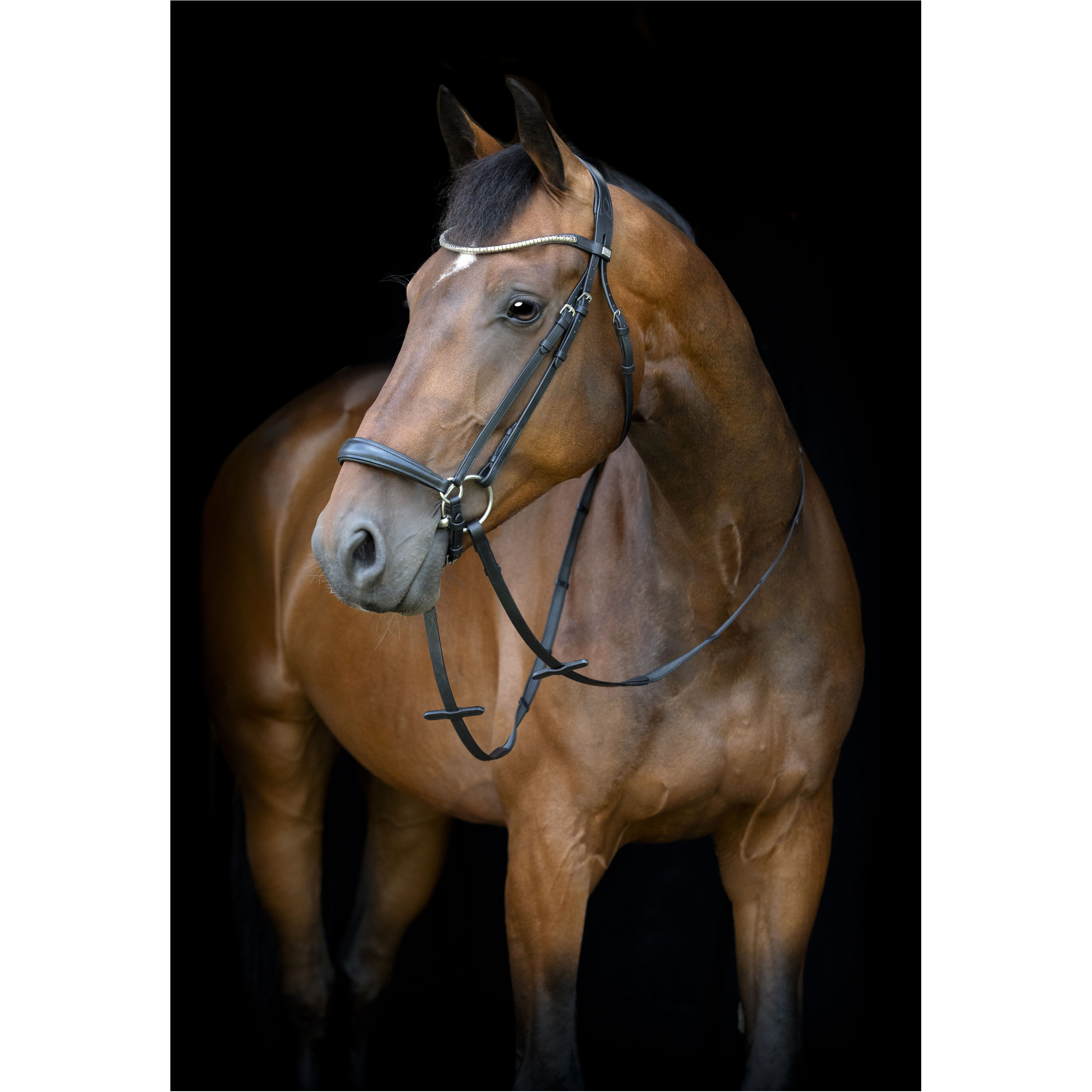 Trensenzaum hannoveranisch CRYLL 26.1 schwarz