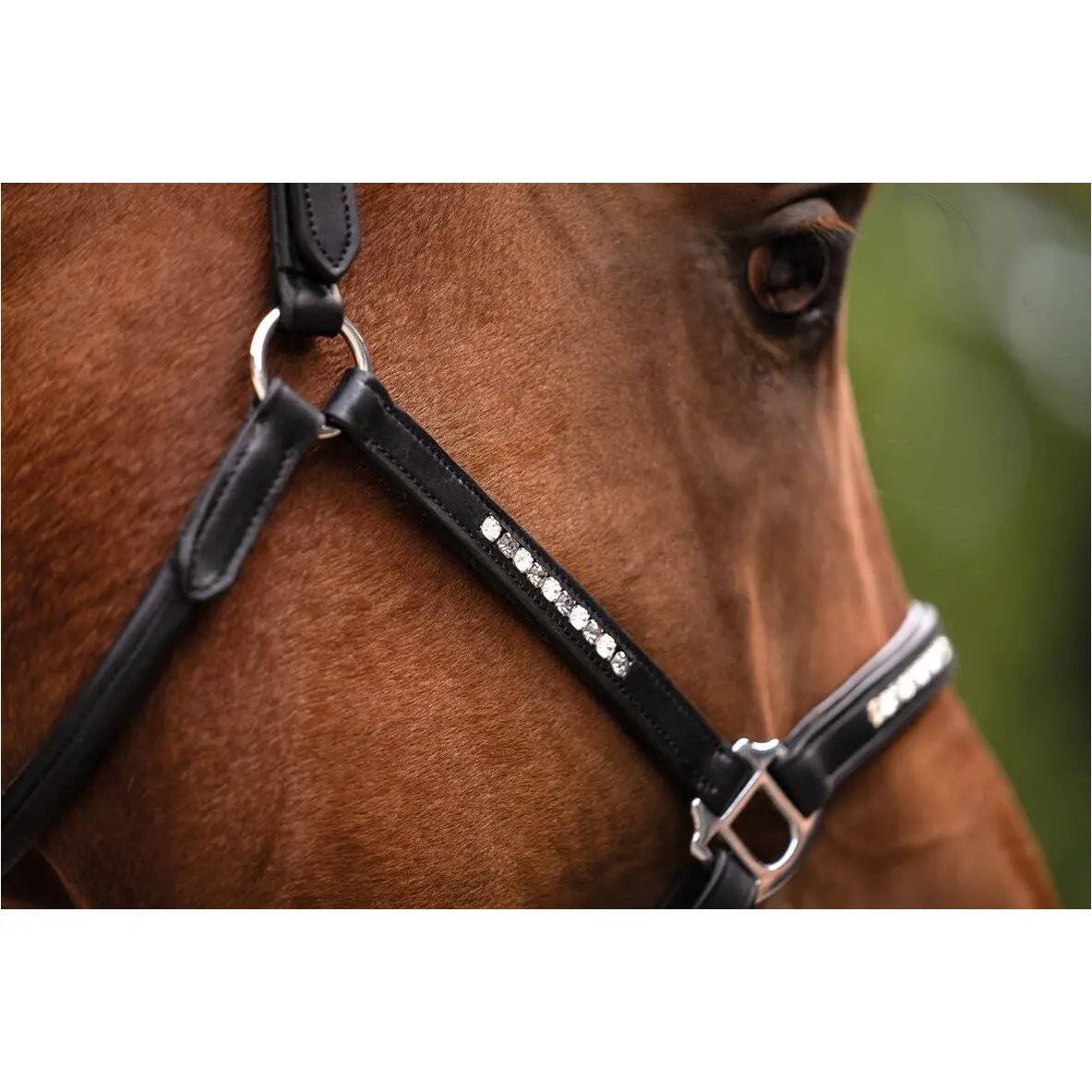 Lederhalfter SPARKLE schwarz