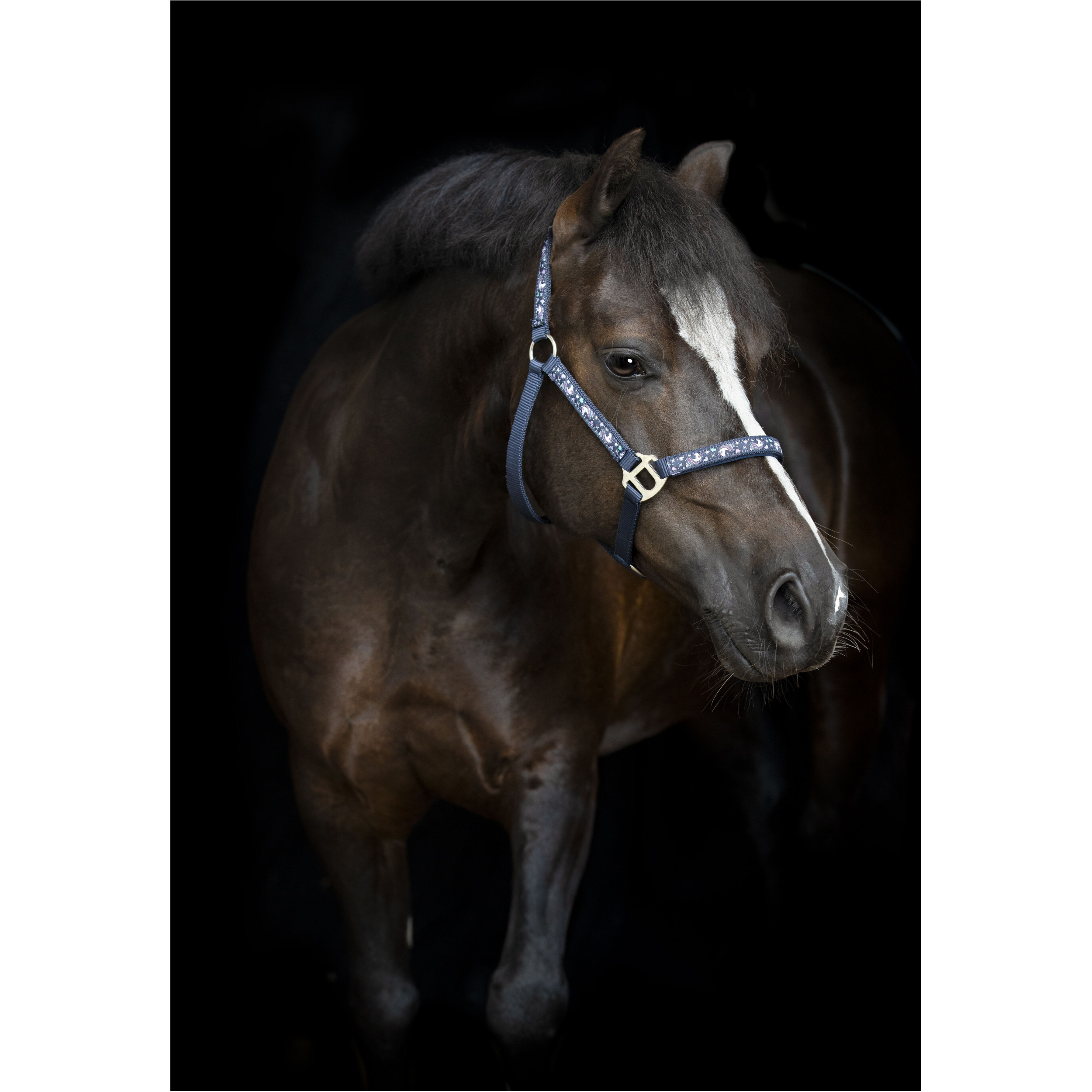 Halfter FANTASY navy