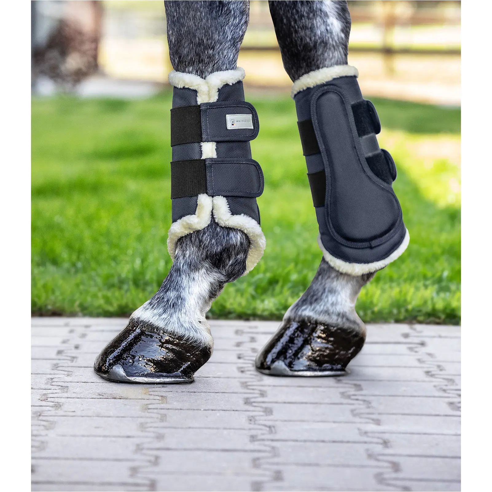 Dressurgamaschen COMFORT nachtblau/natur Dressurgamaschen COMFORT nachtblau/natur