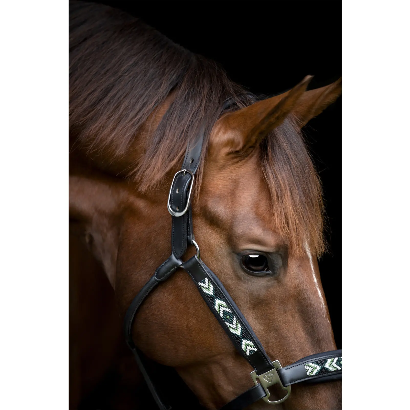 Lederhalfter VANAMO schwarz Lederhalfter VANAMO schwarz