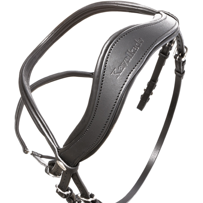 Trensenzaum hannoveranisch EVERANA Leder geölt schwarz