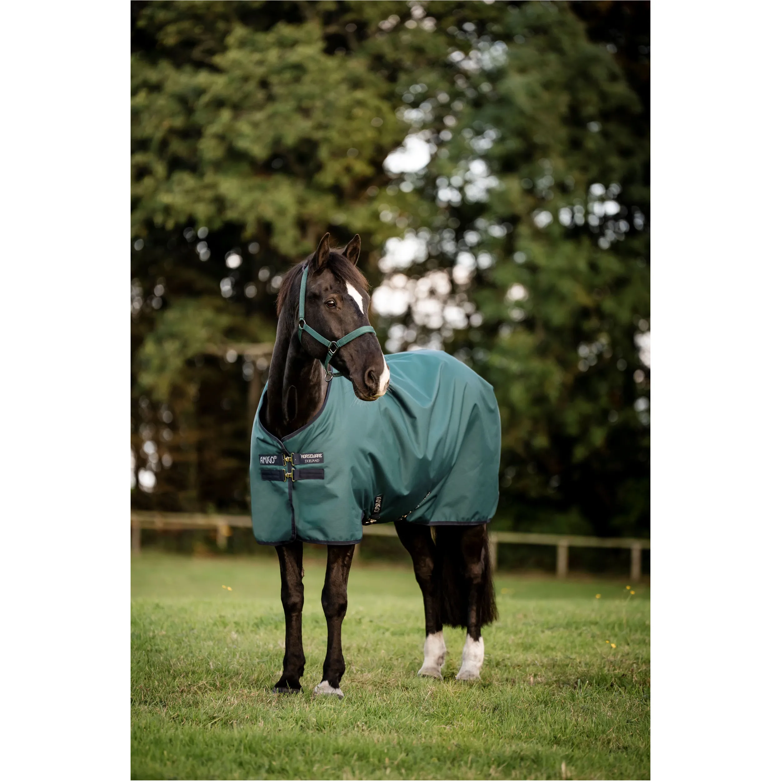 Outdoordecke 100g Füllung 900D AMIGO Ripstop Turnout dynasty green/navy/silver