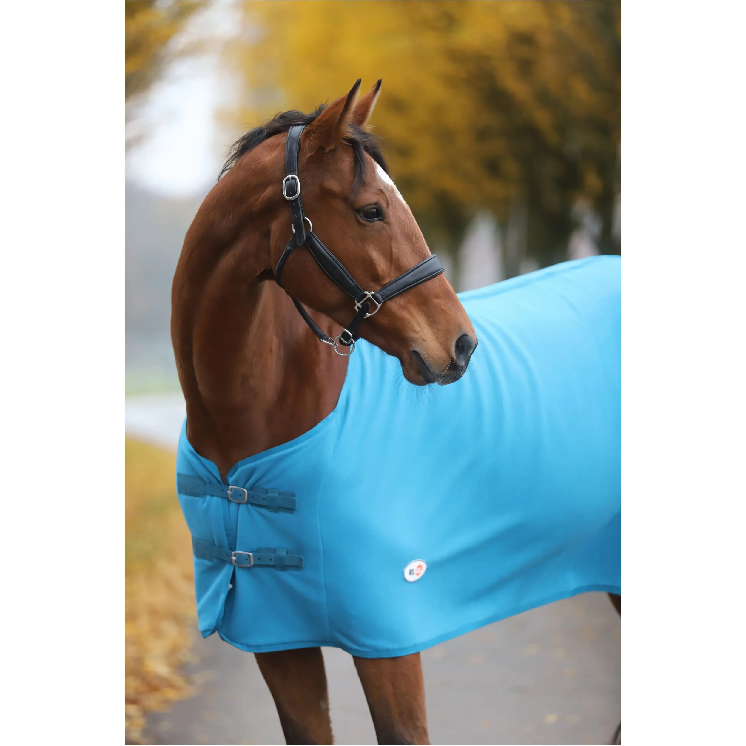 Abschwitzdecke BASICLINE petrol